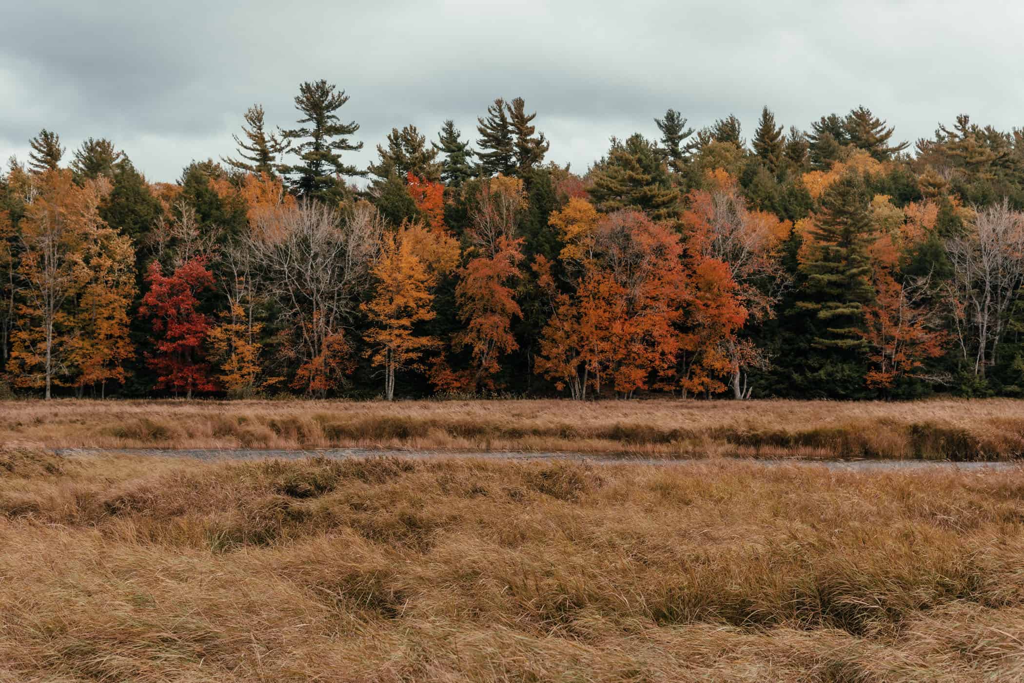 Indian Summer at Kejimkujik National Park Nova Scotia