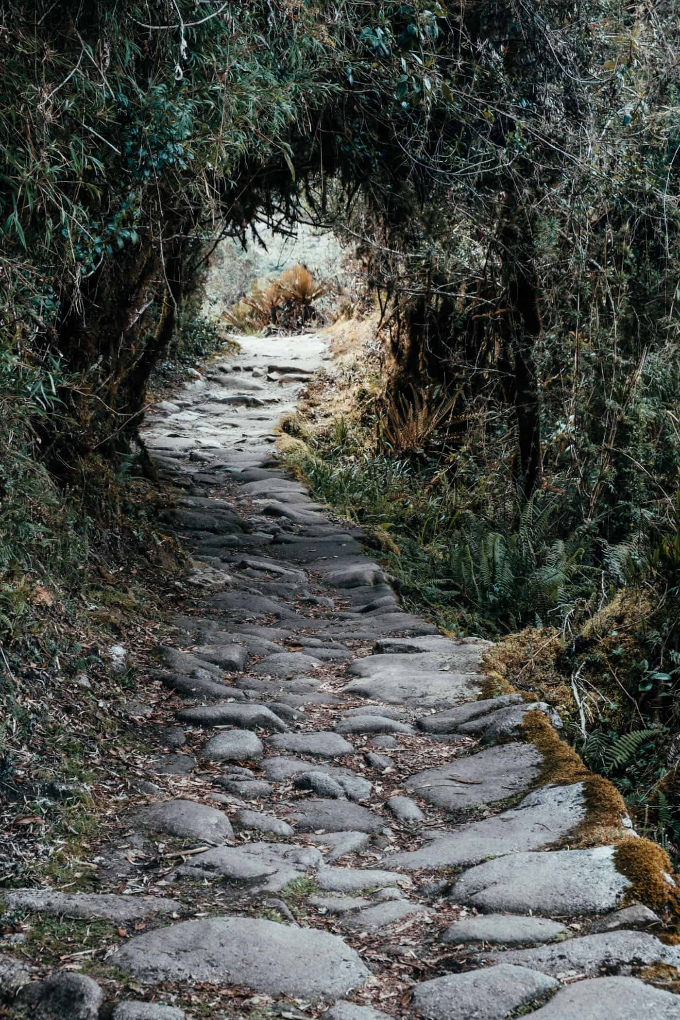 Inka Trail and Machu Picchu Peru