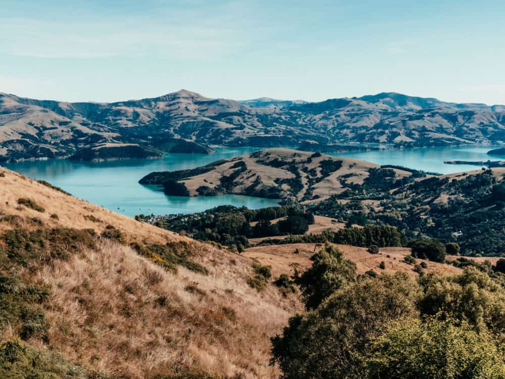 Round the Mountain via Curry Track (Purple Peak Curry Reserve)