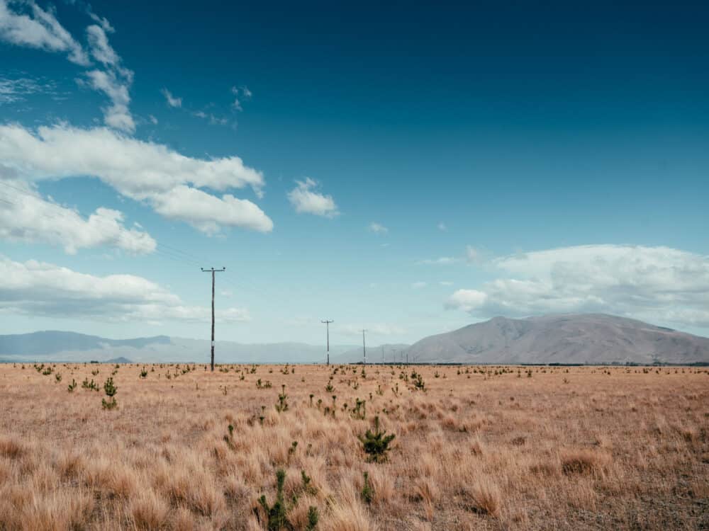 Power lines across a flat near Twizel