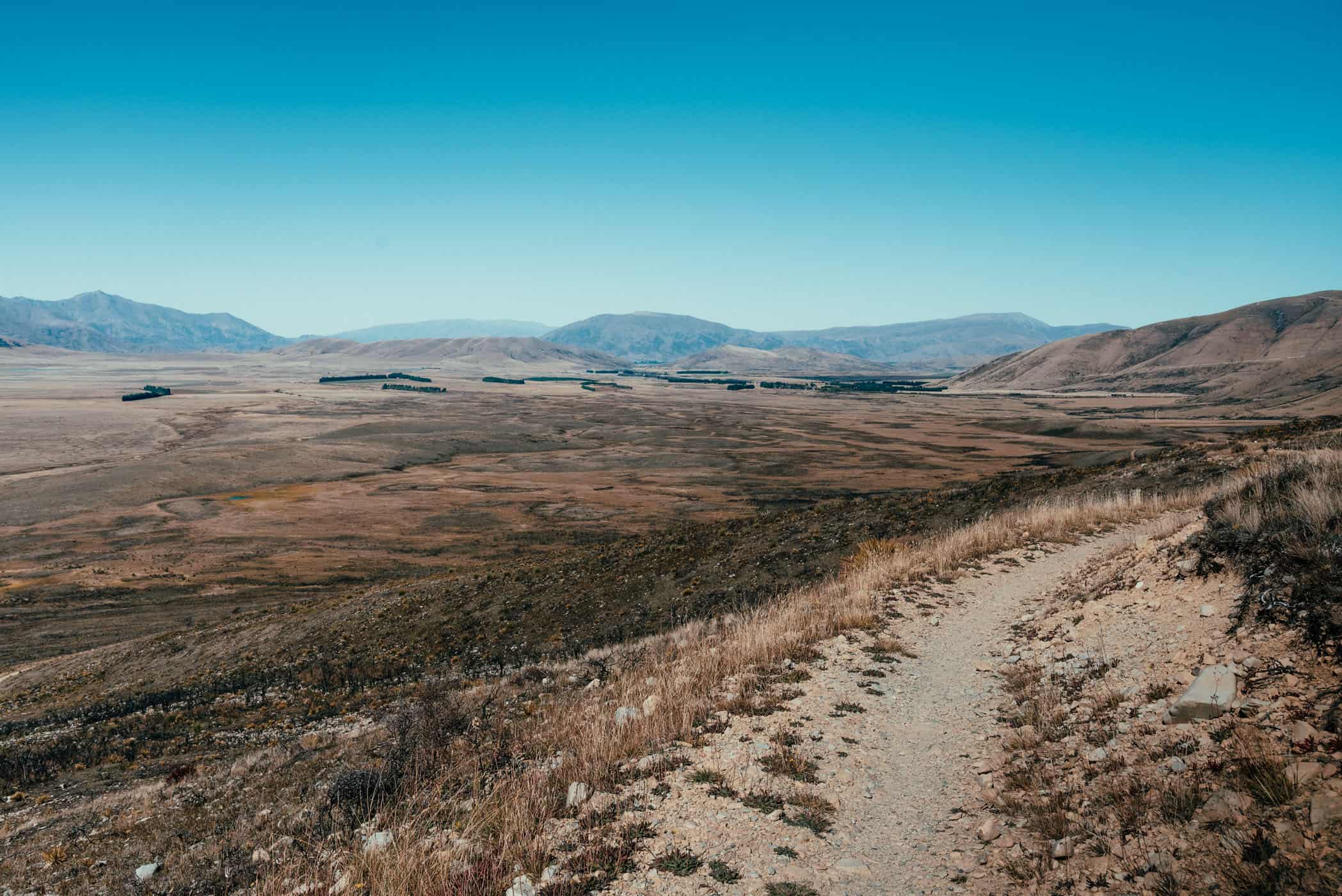 View from Tarnbrae High Point at Alps 2 Ocean Cycle Trail