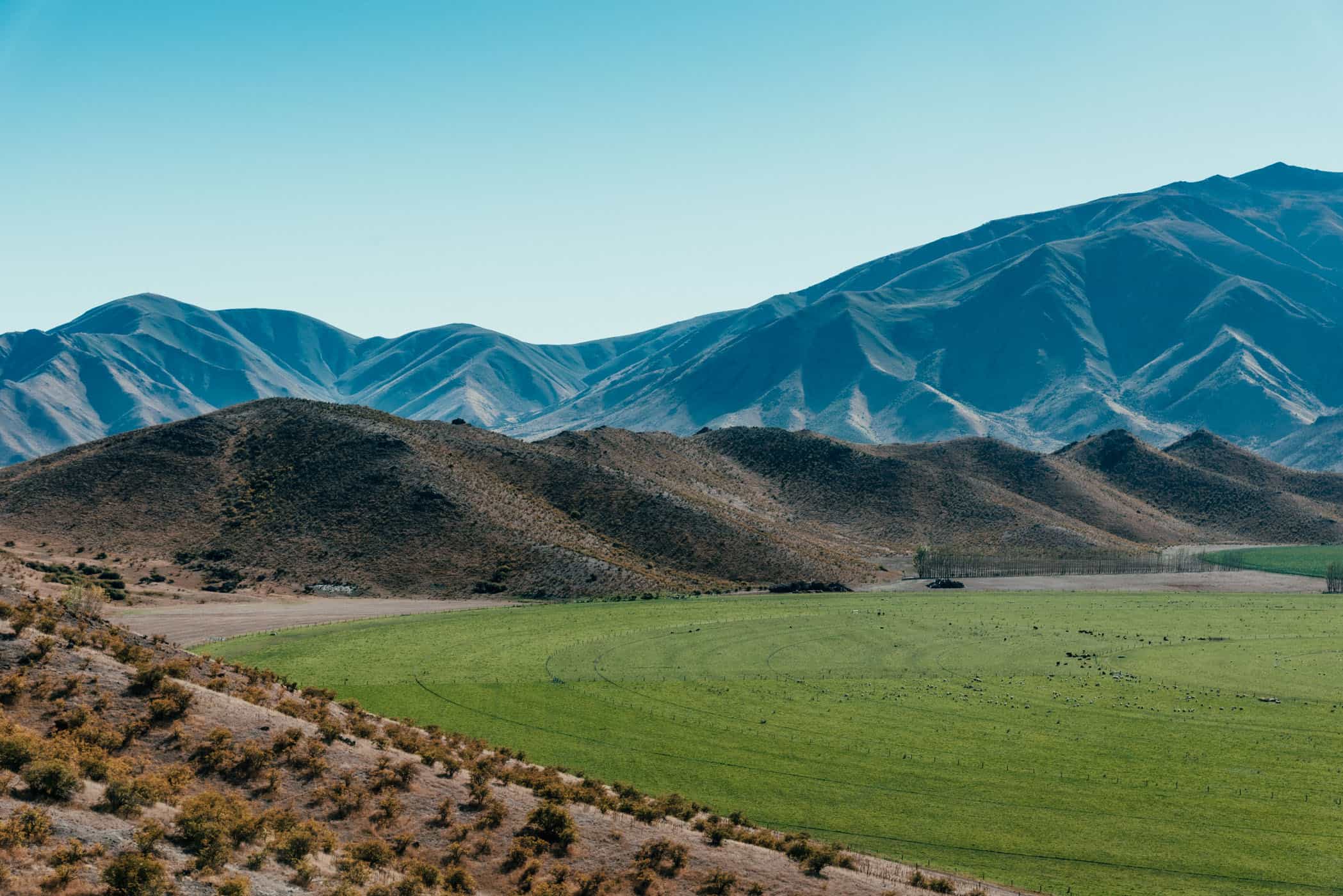 Irrigated paddock in front of hills