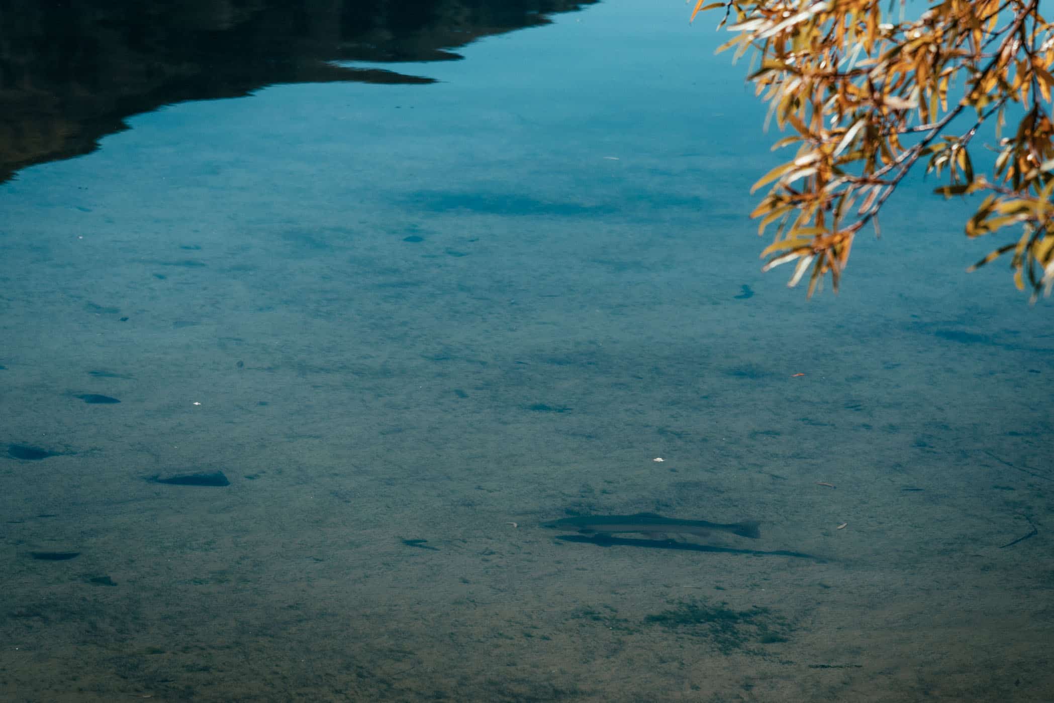 Ahuriri River forms a lake