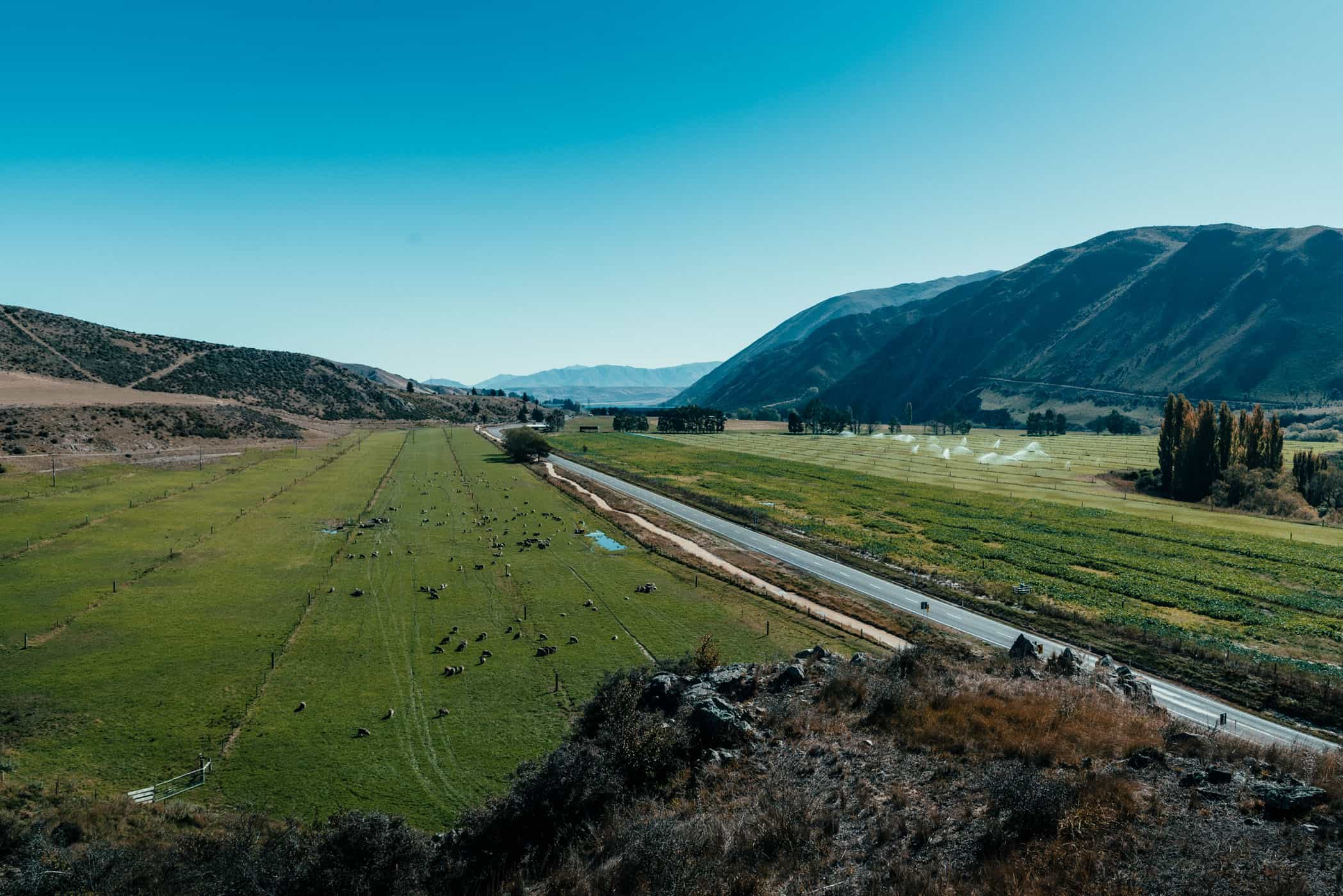 irrigated paddocks near Kurow