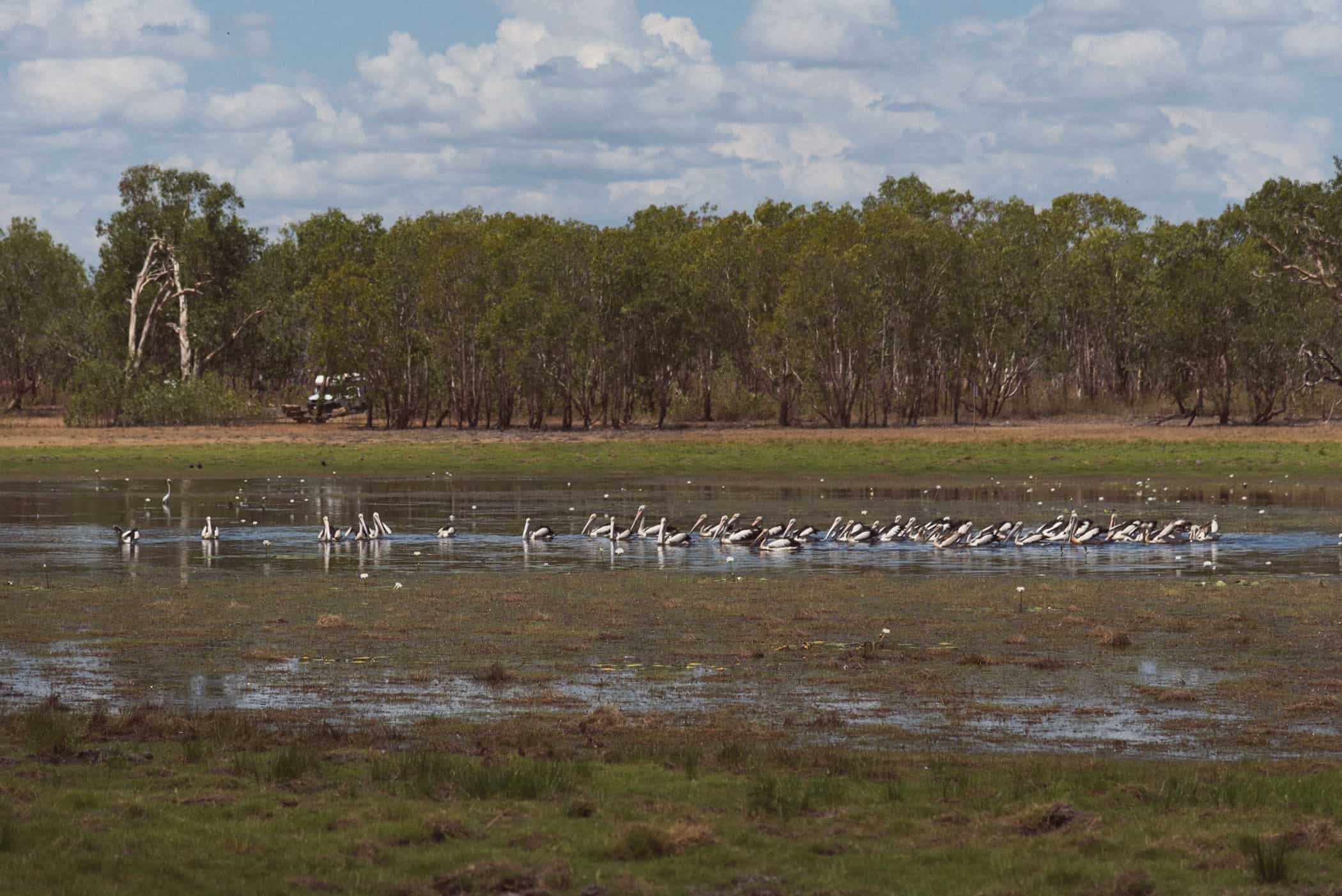 Angbangbang Billabong