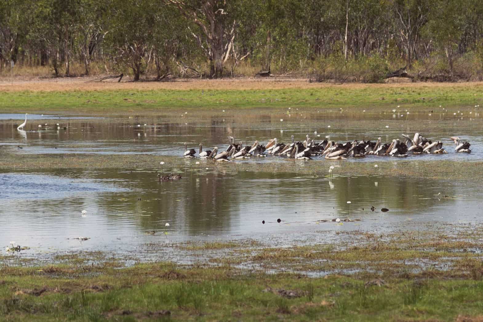 Angbangbang Billabong