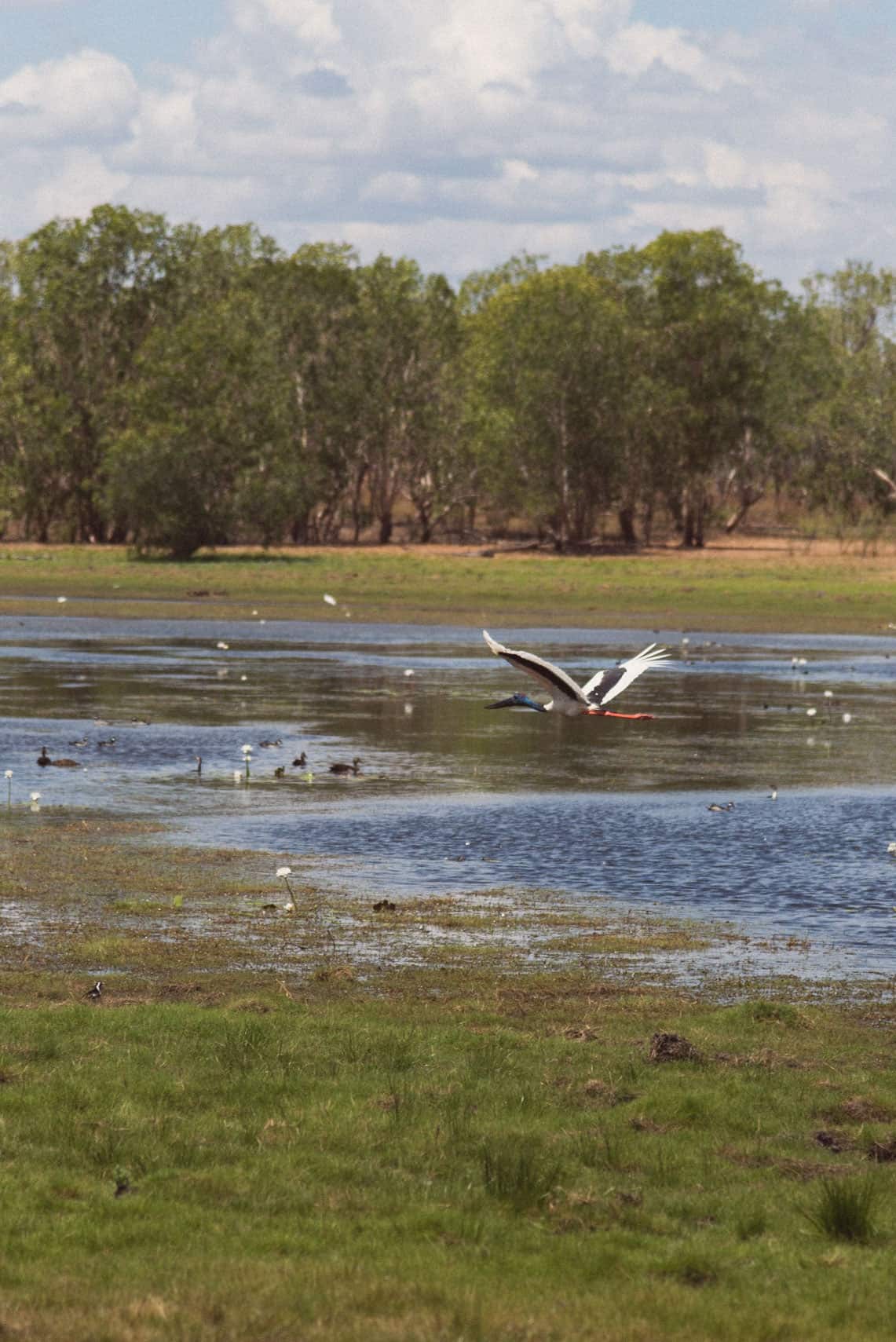 Angbangbang Billabong