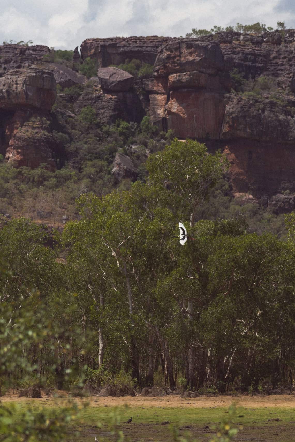 Angbangbang Billabong