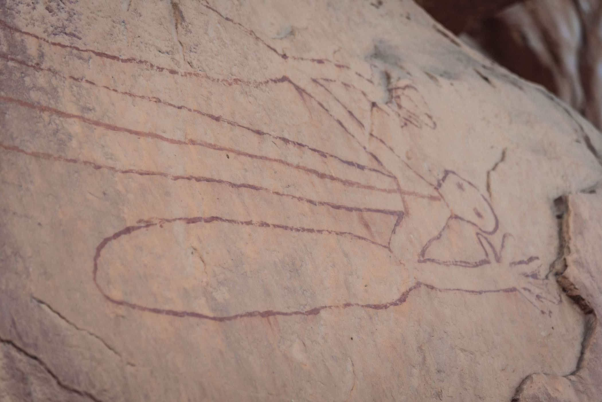 Rock art on Barr Walk Kakadu National Park
