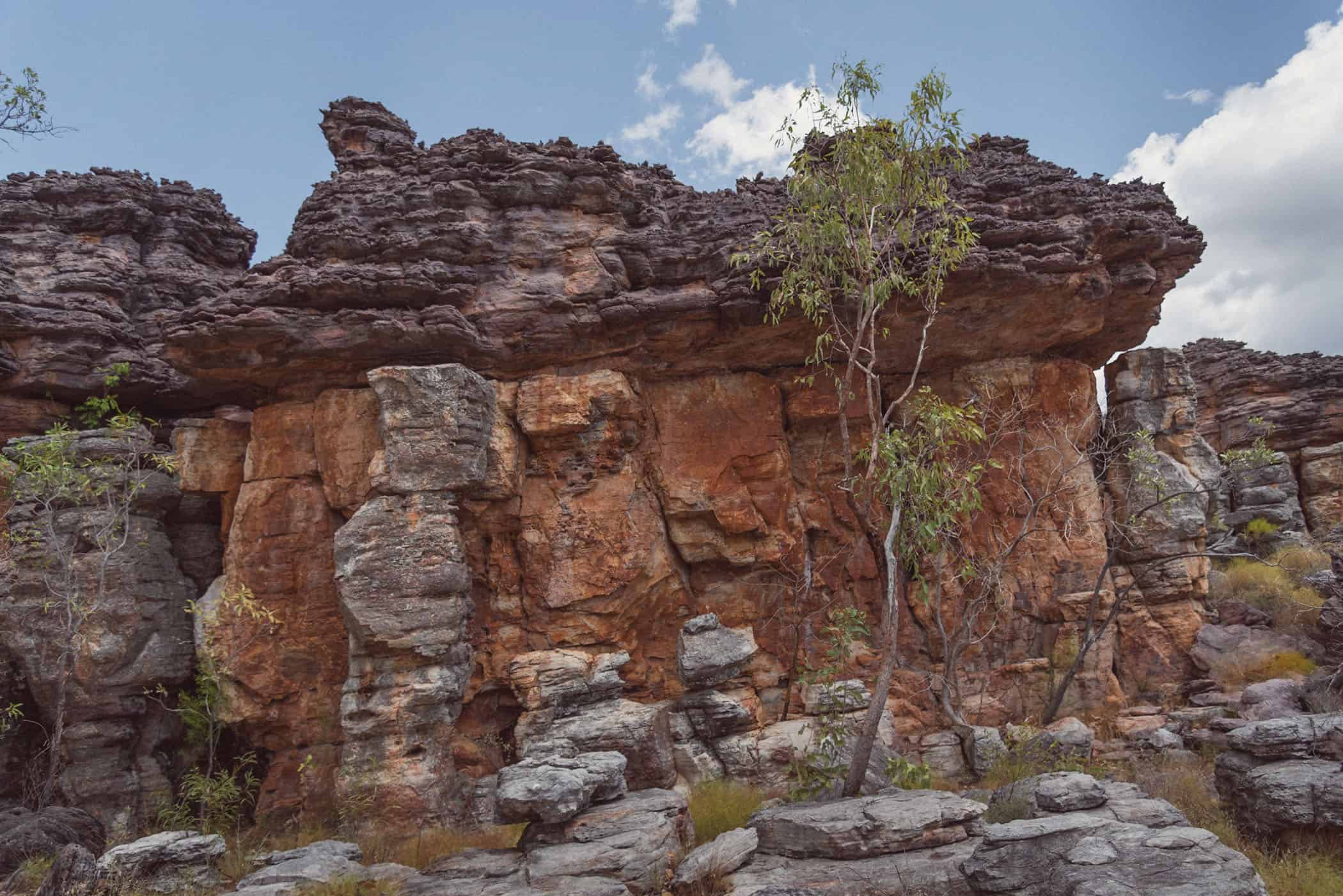Rock art on Barr Walk Kakadu National Park