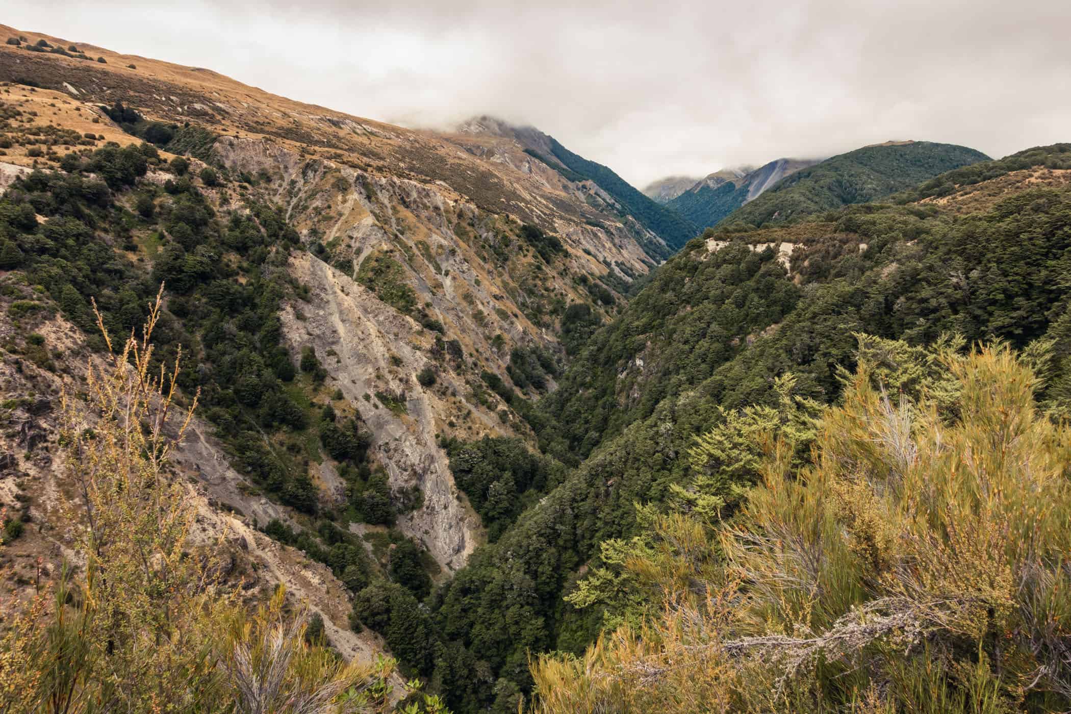 Bruce Stream gorge seen from Bealey Spur Track