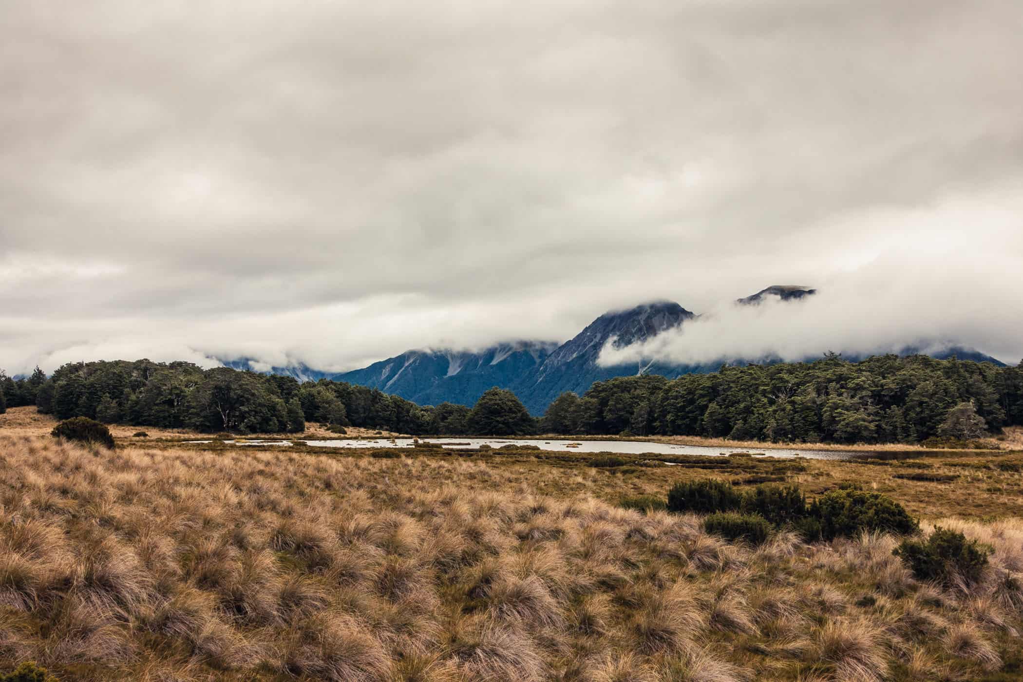 Bealey Spur Track passes high moor