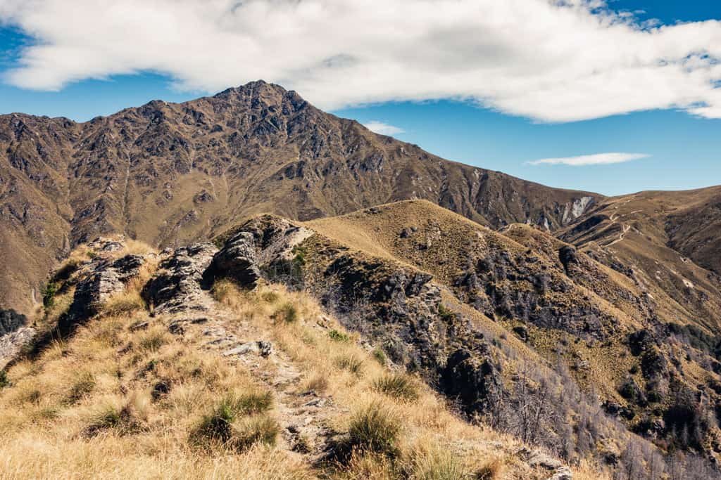 Ben Lomond Track leading up to the summit