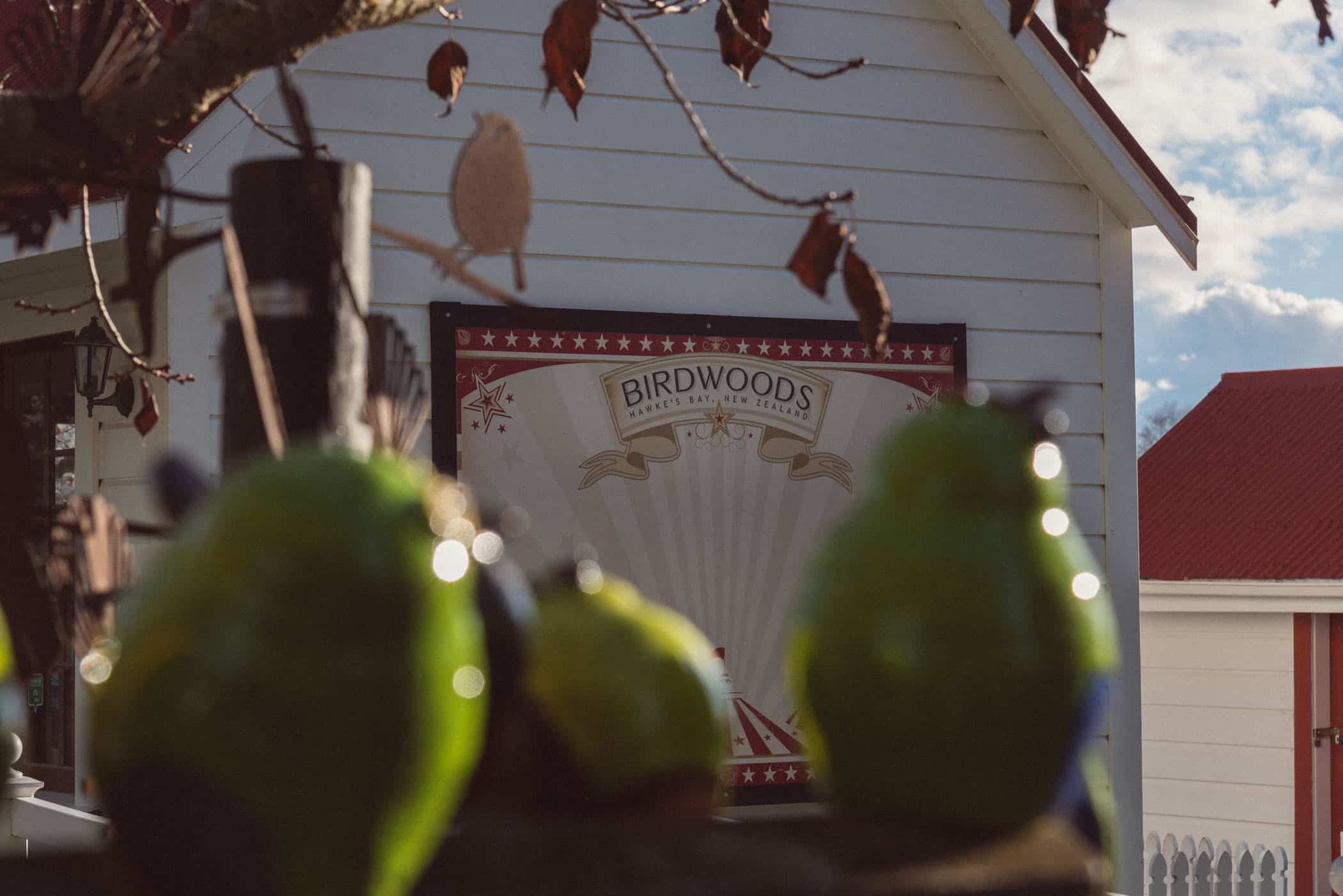 Bike rides Hawke's Bay