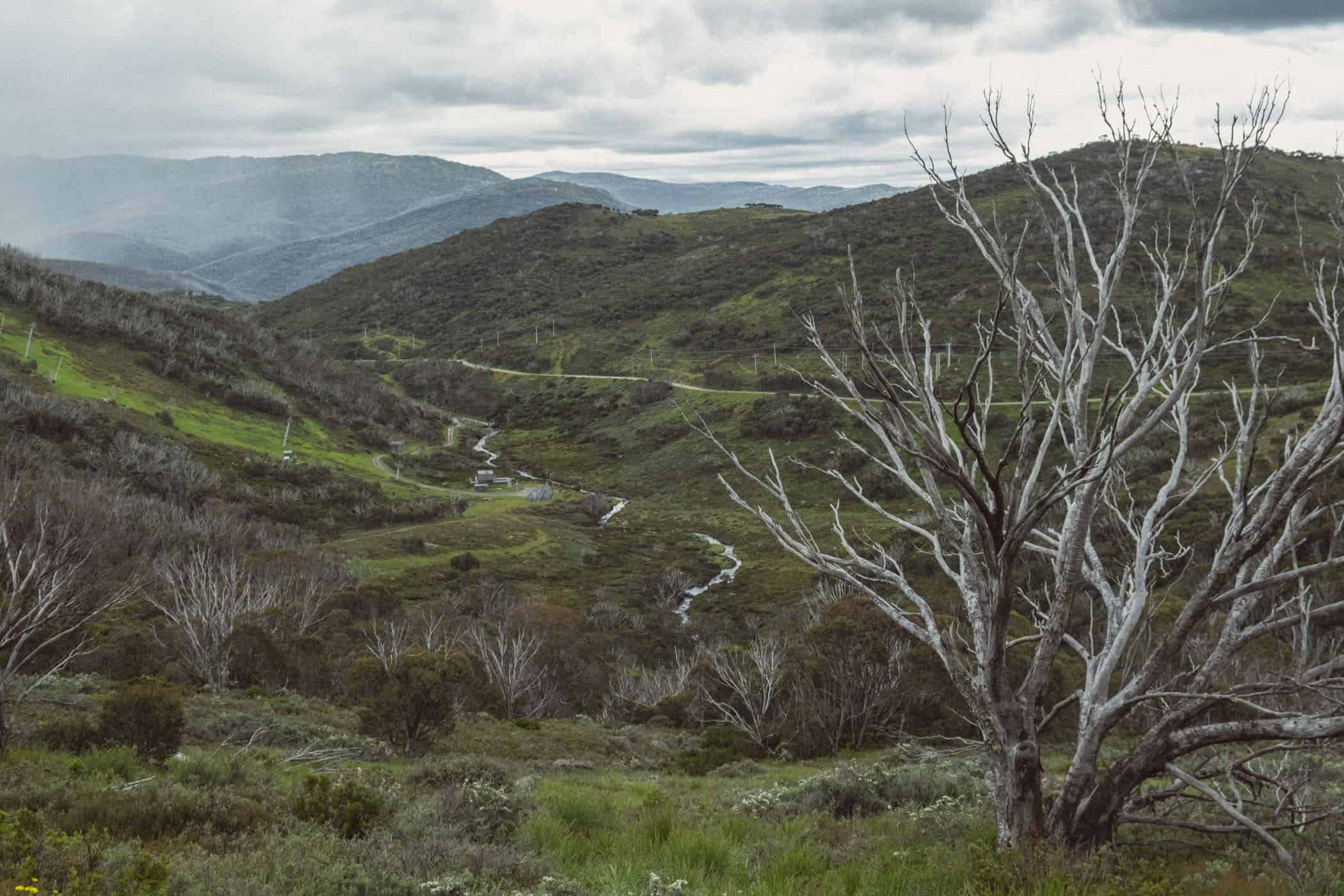 Mount Kosciuszko National Park Blue Cow Walk