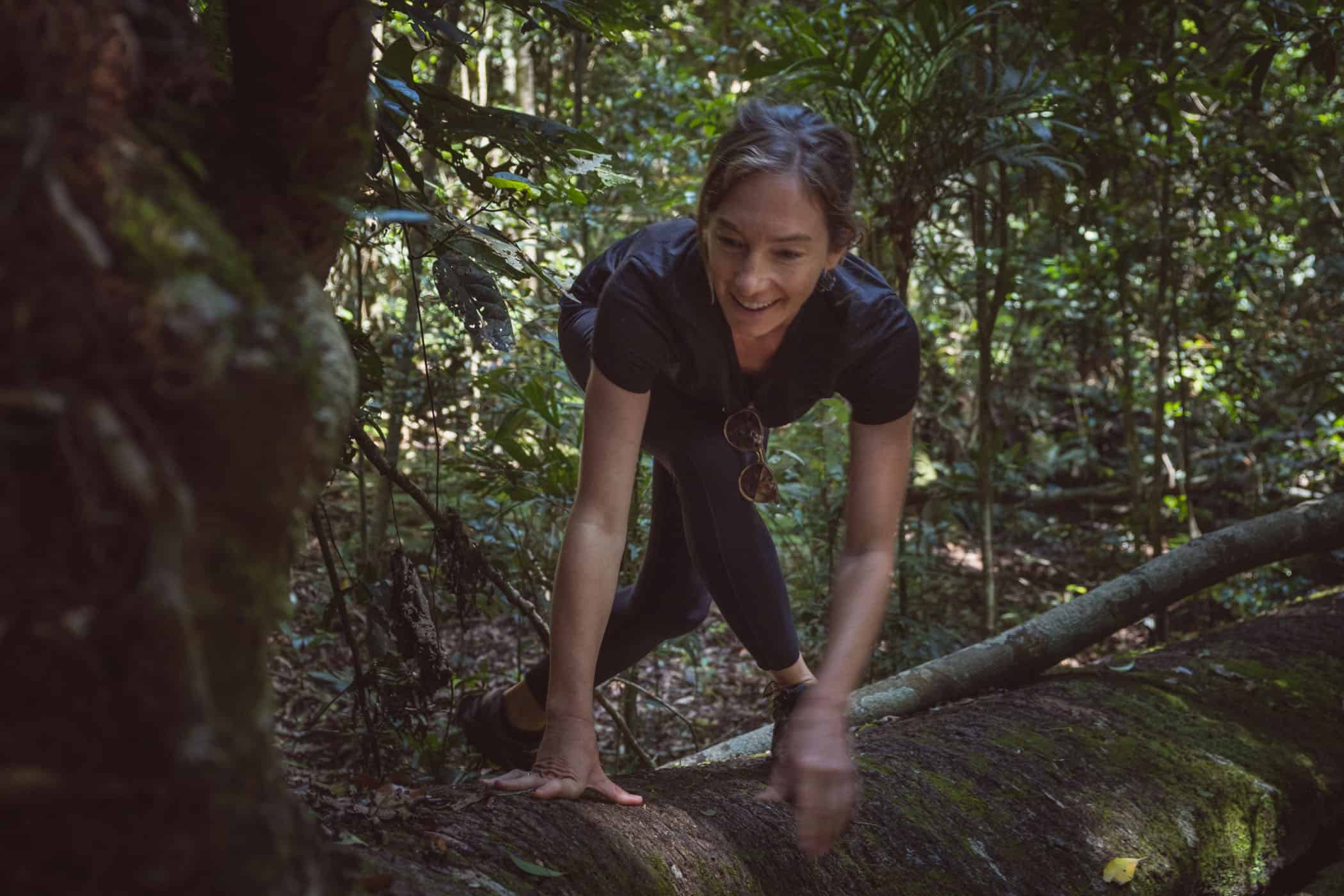 Border Track at O'Reilly's Lammington National Park