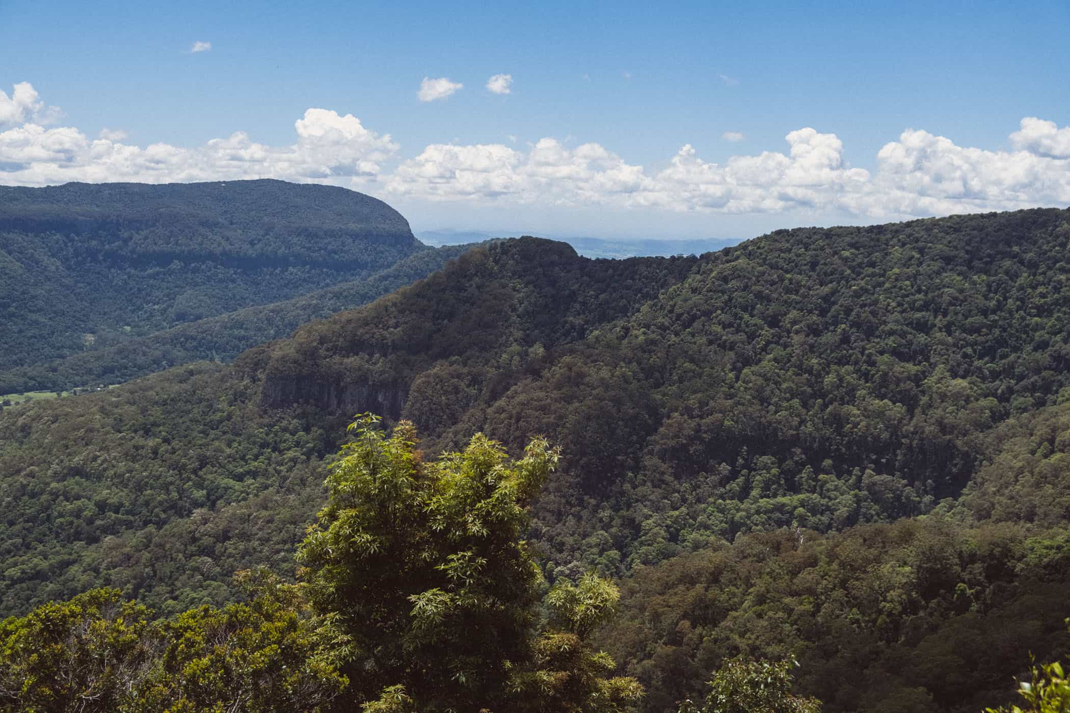 Border Track at O'Reilly's Lammington National Park