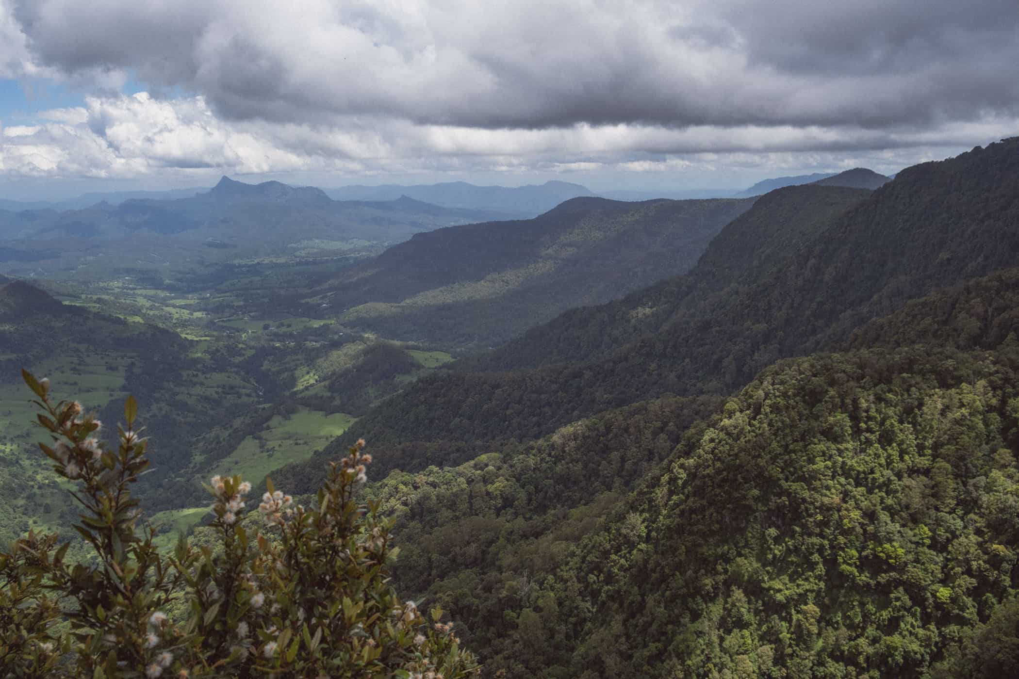 Border Track at O'Reilly's Lammington National Park