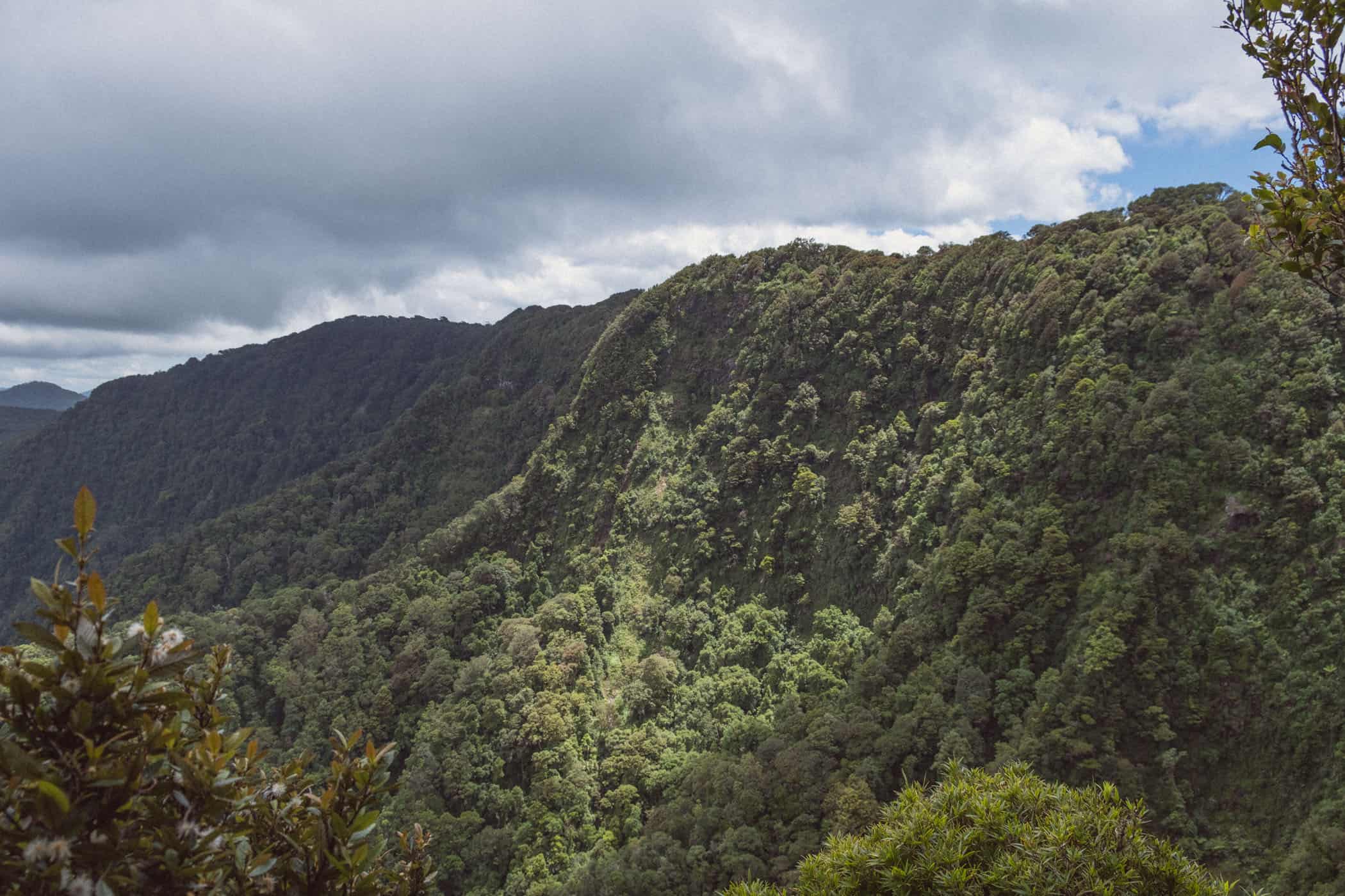 Border Track at O'Reilly's Lammington National Park