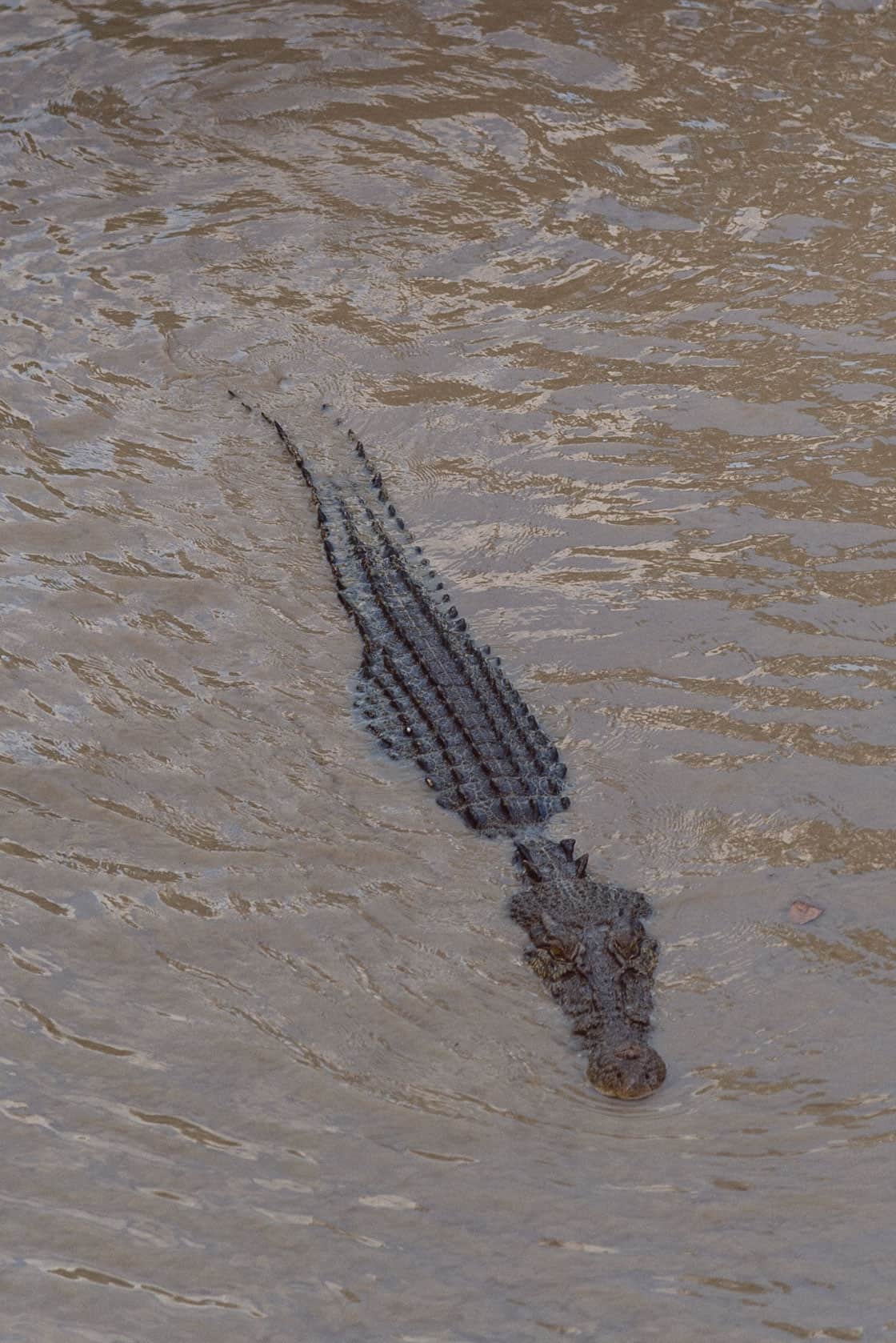 Cahills Crossing Kakadu National Park