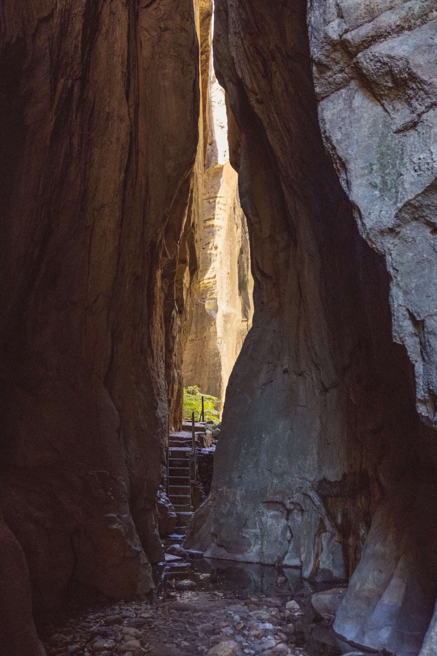 Carnarvon Gorge Queensland Australia
