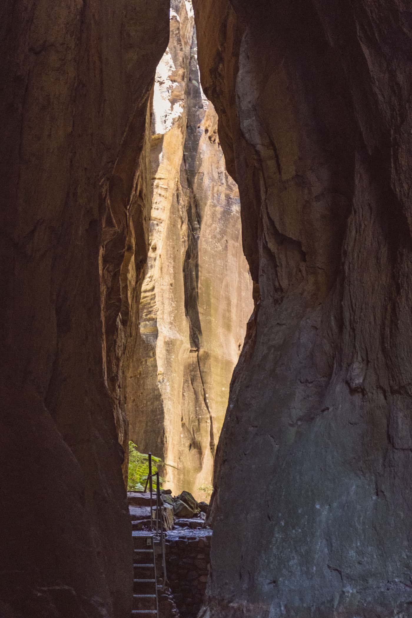 Carnarvon Gorge Queensland Australia