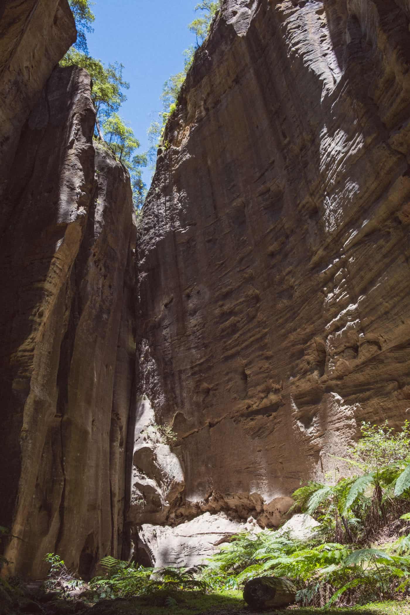 Carnarvon Gorge Queensland Australia