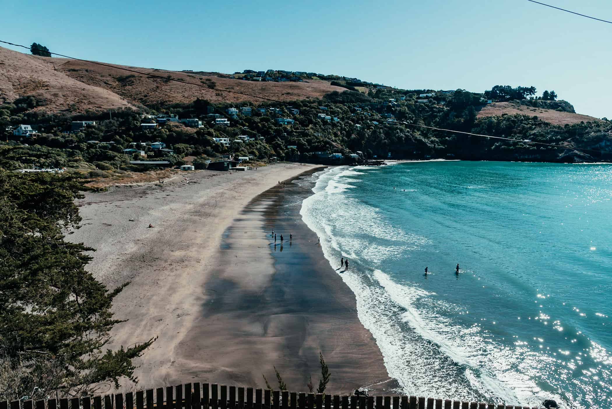 Godley Head Loop Track