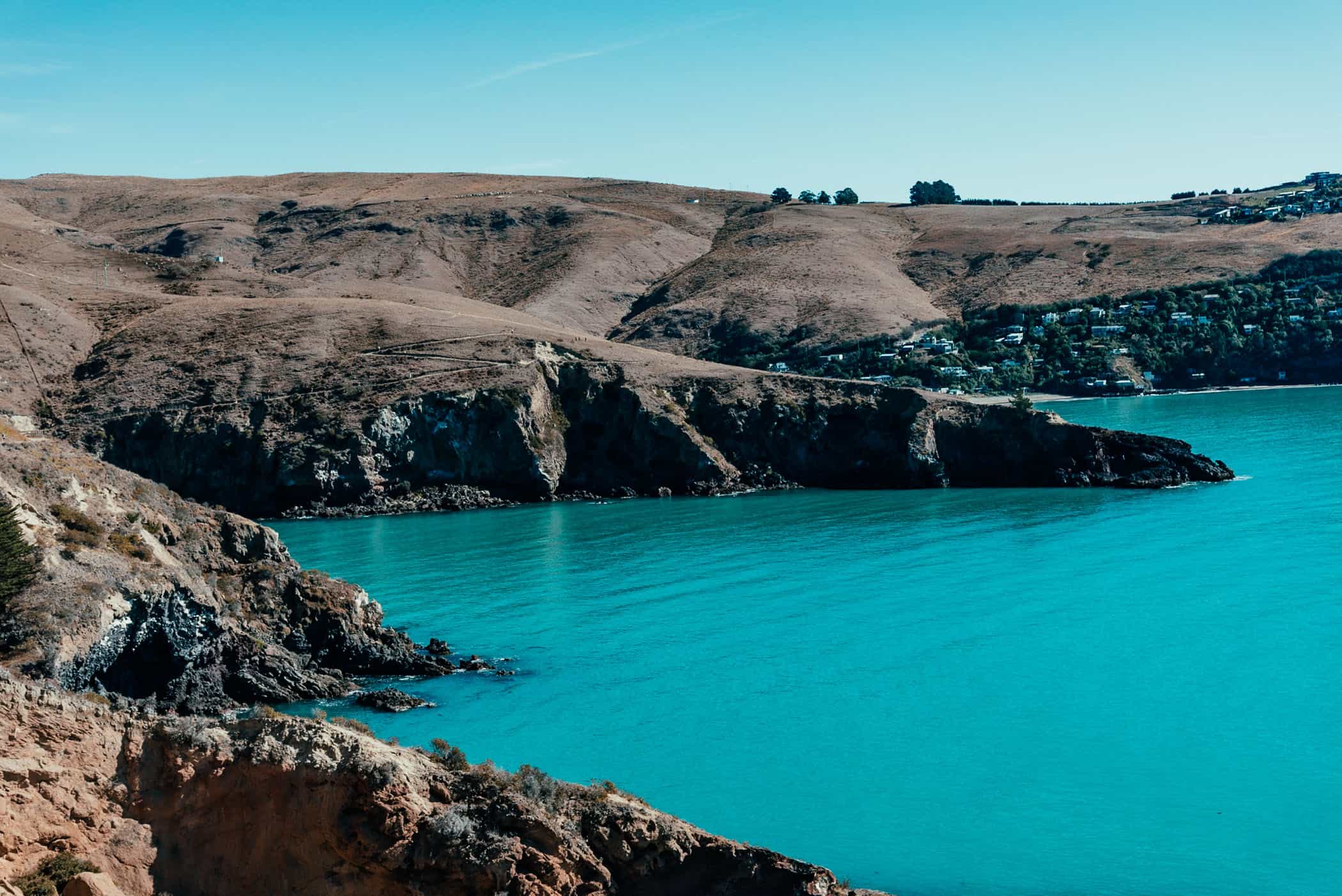 Godley Head Loop Track