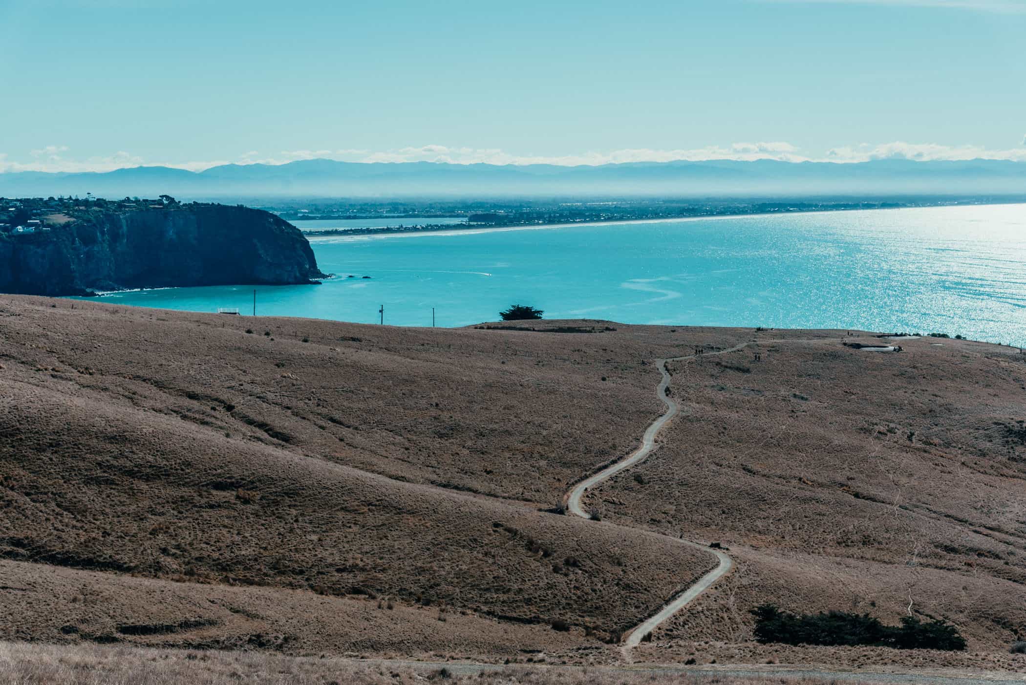Godley Head Loop Track