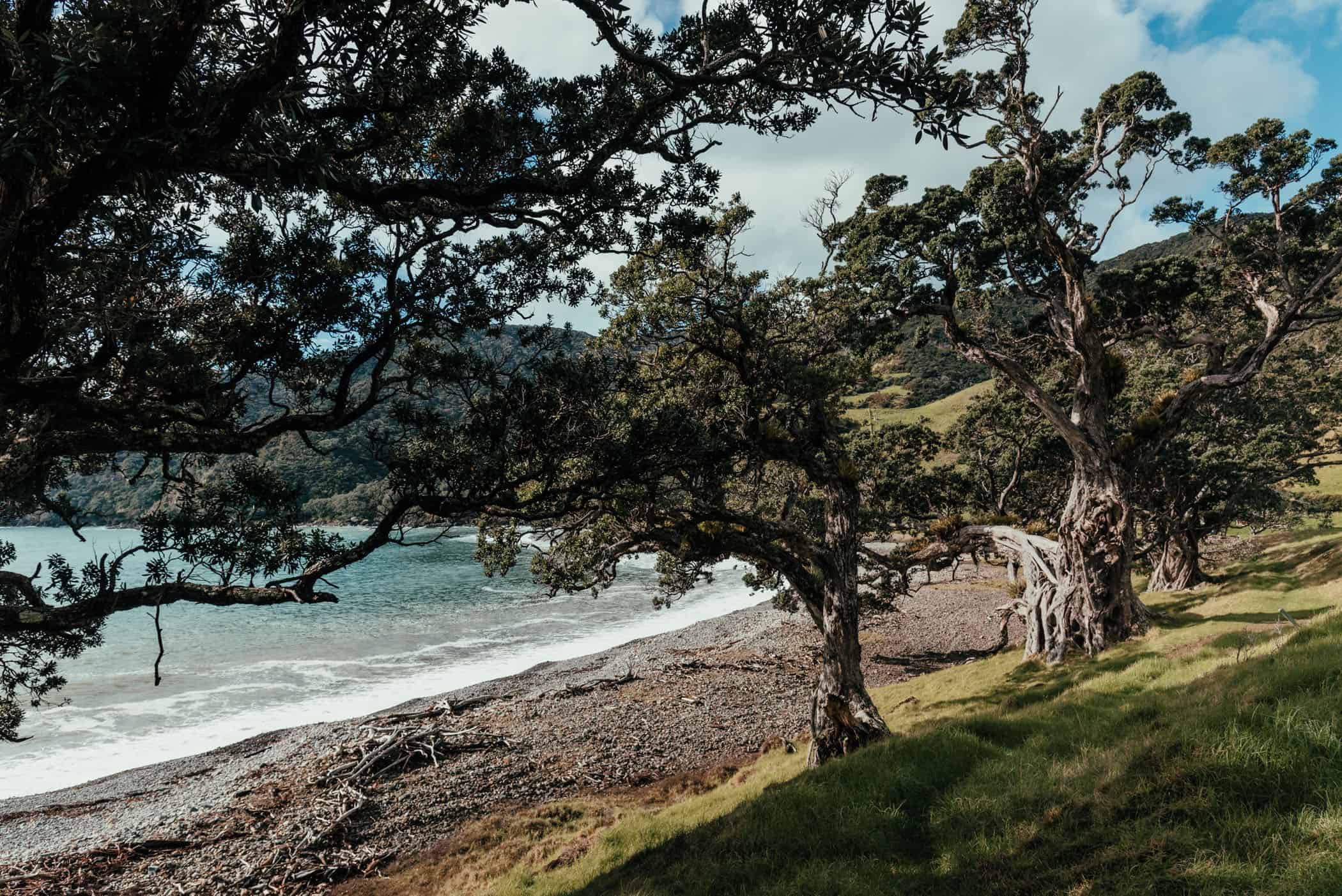 pebble beach at Stony Bay campsite