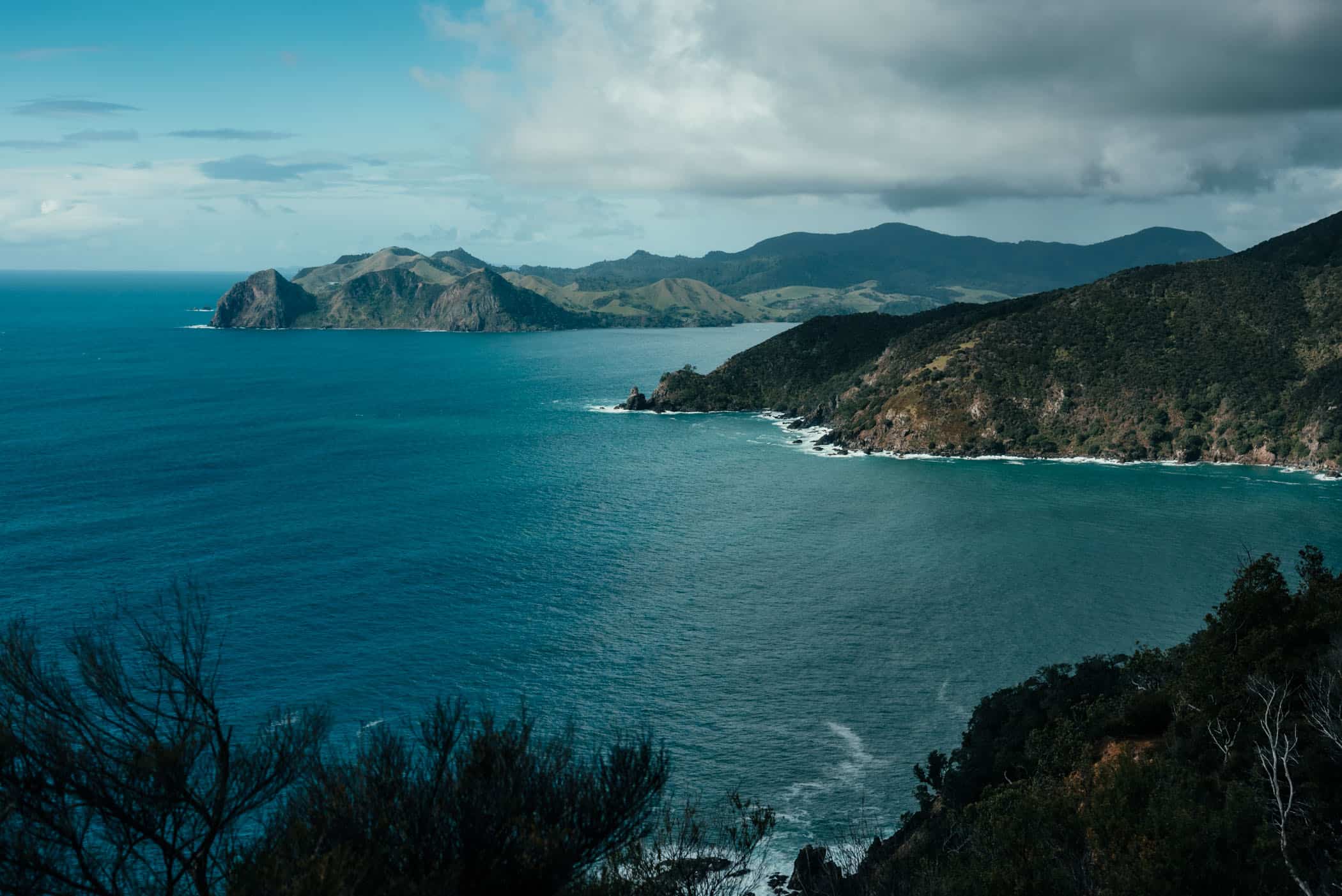 Coast at Coromandel Coastal Walkway