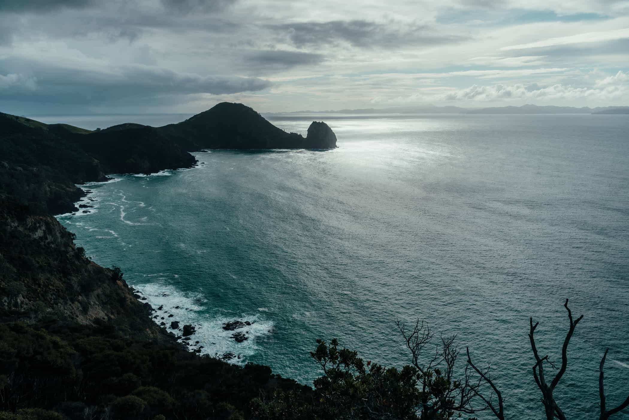 Coast at Coromandel Coastal Walkway