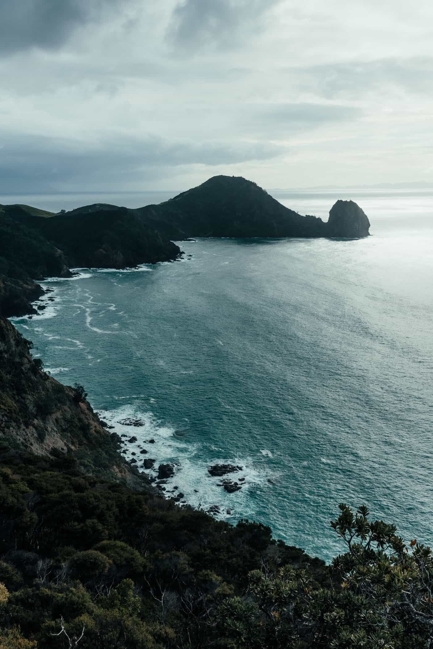 Coast at Coromandel Coastal Walkway