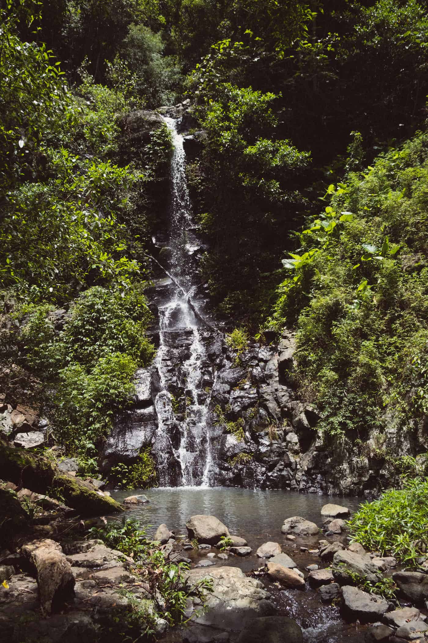 West Canungra Creek Curcuit O'Reilly's Lammington National Park