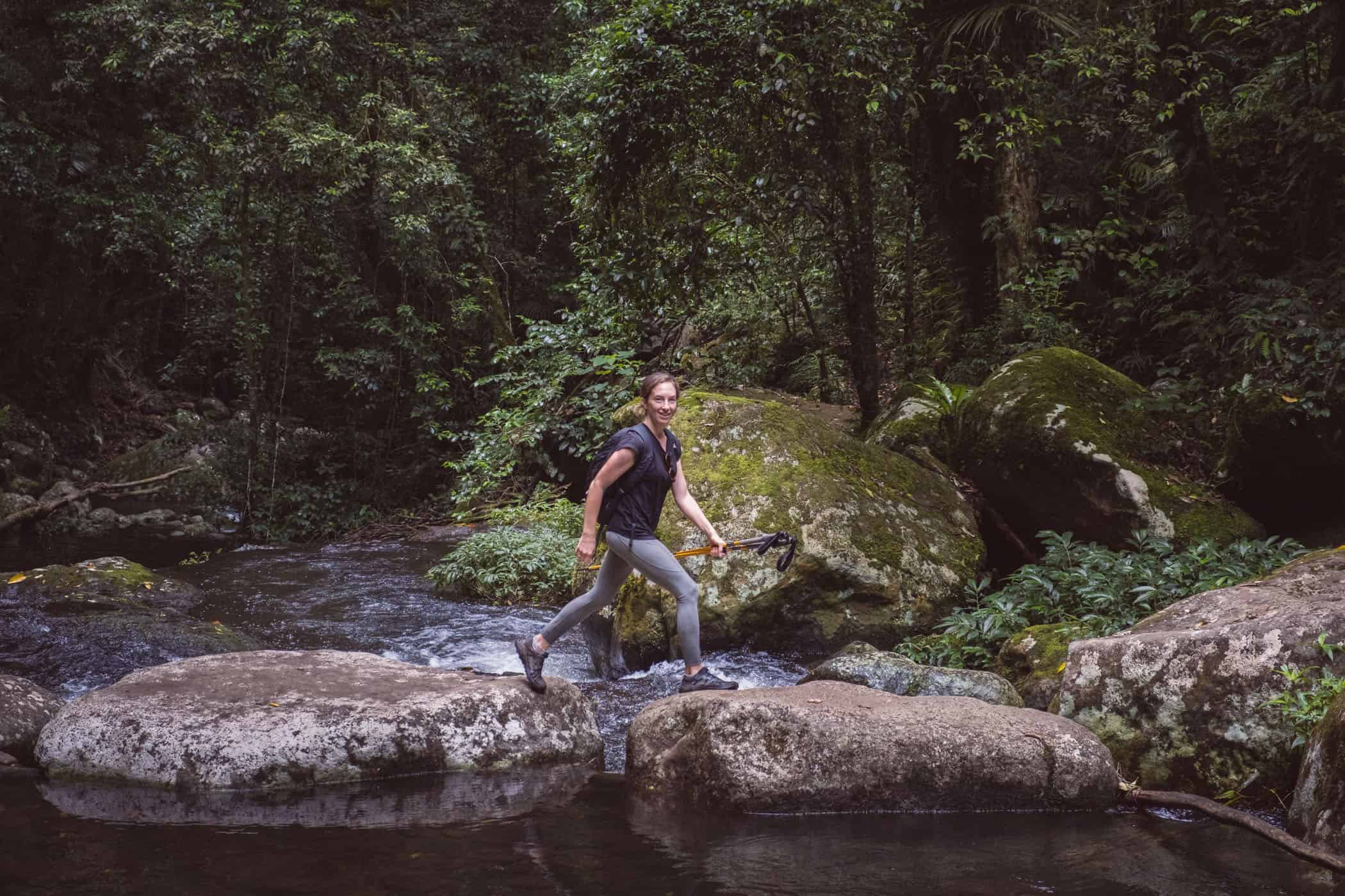 West Canungra Creek Curcuit O'Reilly's Lammington National Park