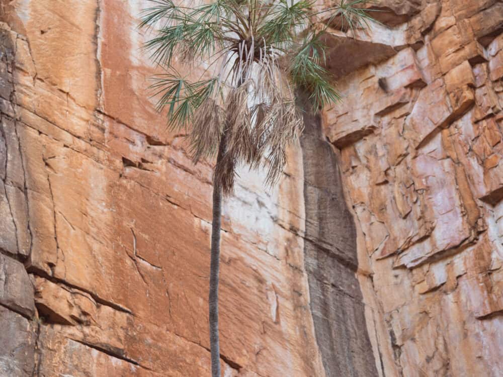 Katherine Gorge Nitmiluk National Park