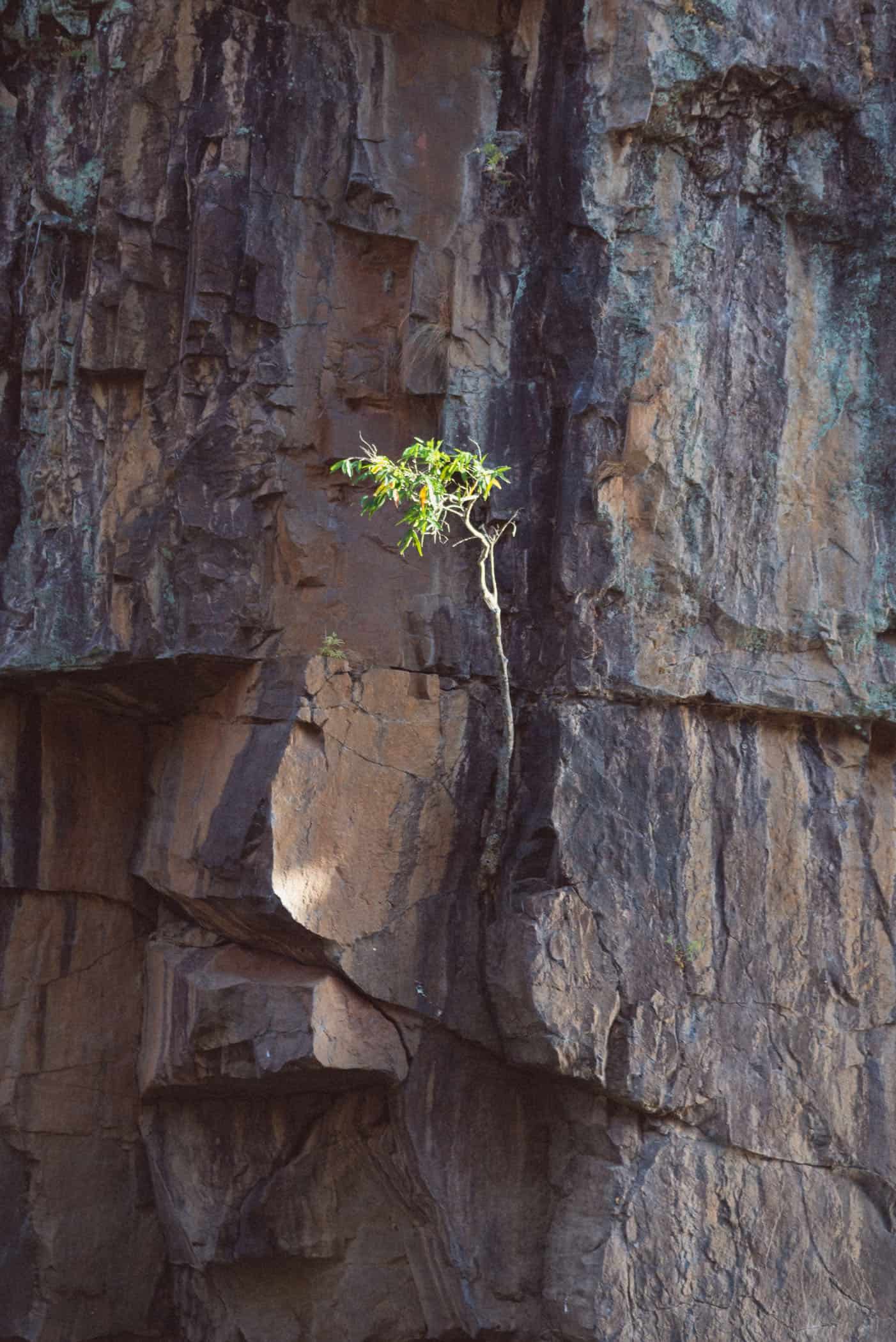 Katherine Gorge Nitmiluk National Park