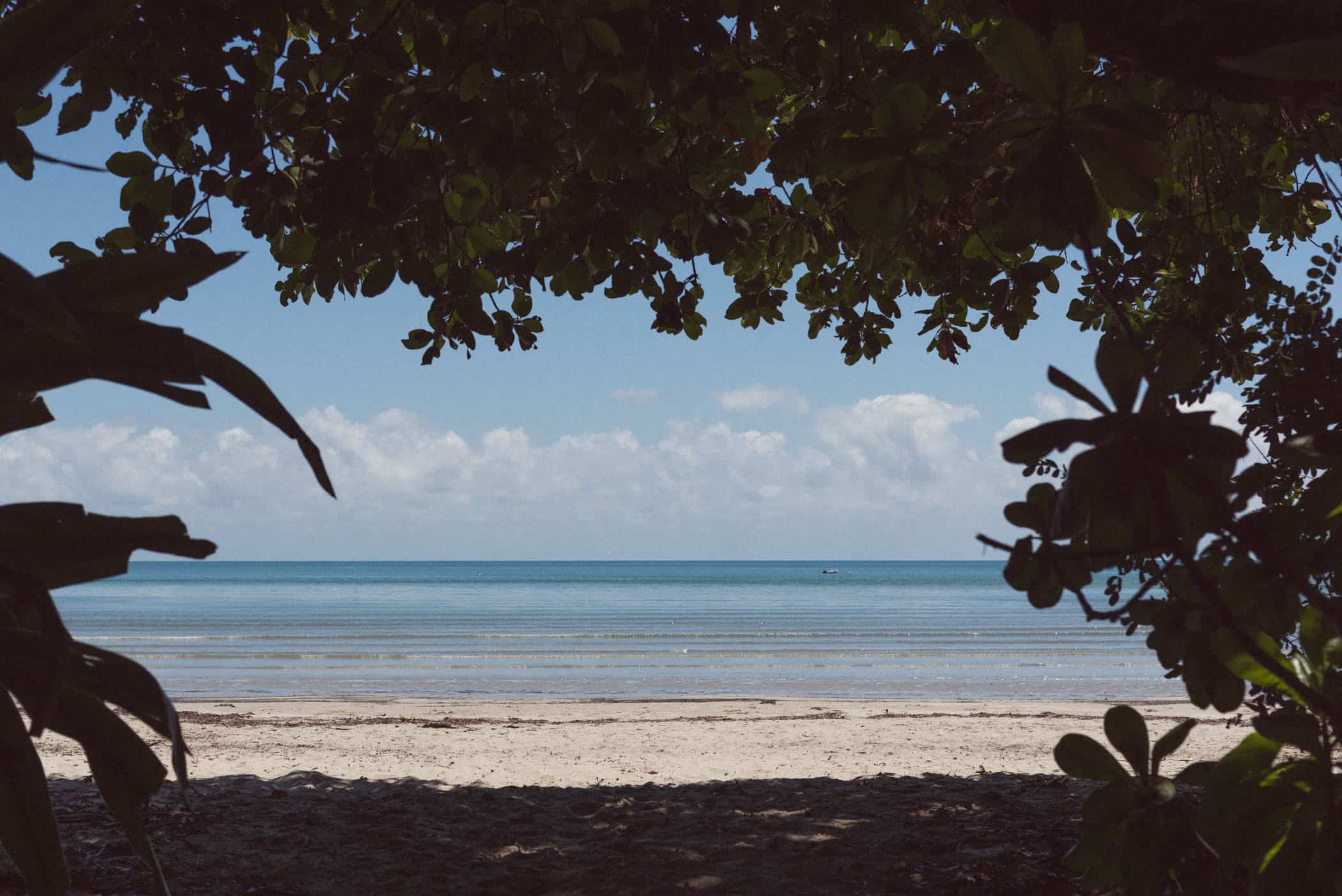 Daintree National Park