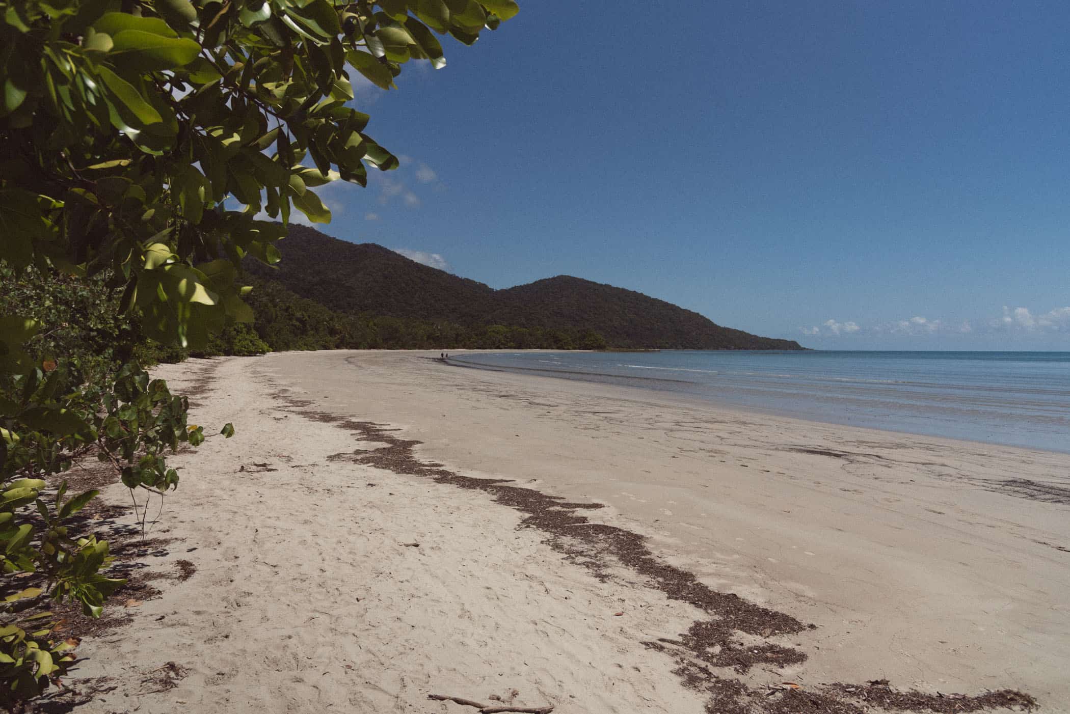 Daintree National Park
