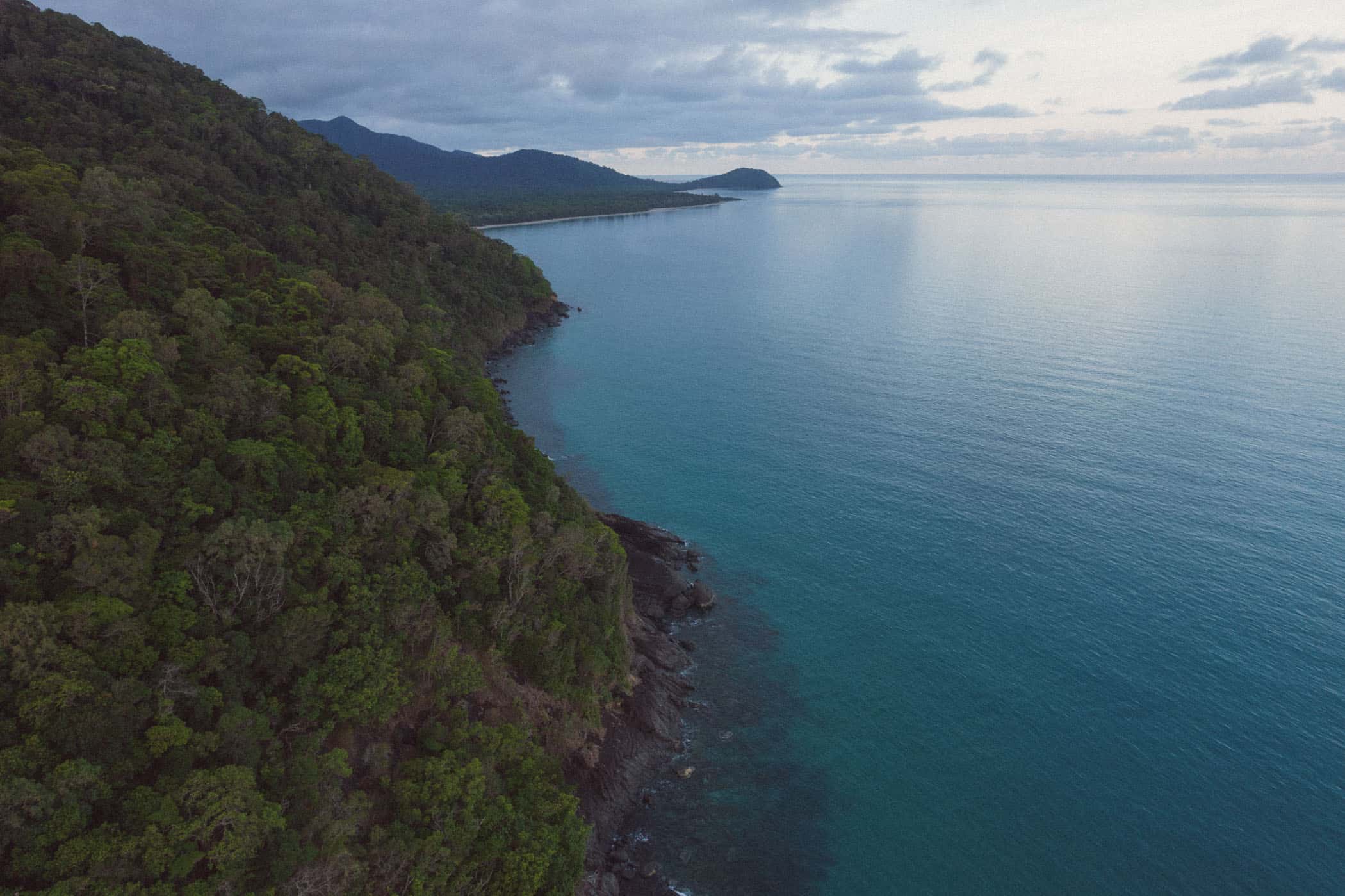 Daintree National Park