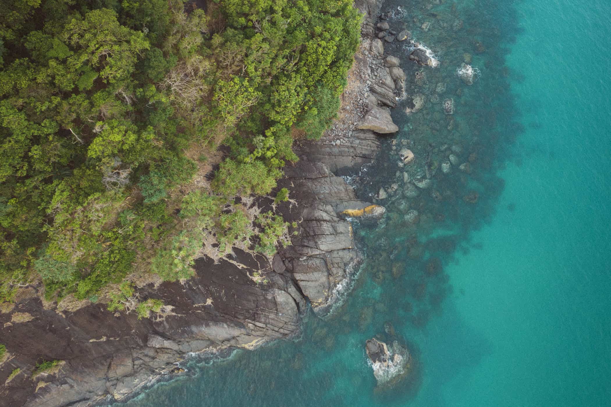 Daintree National Park