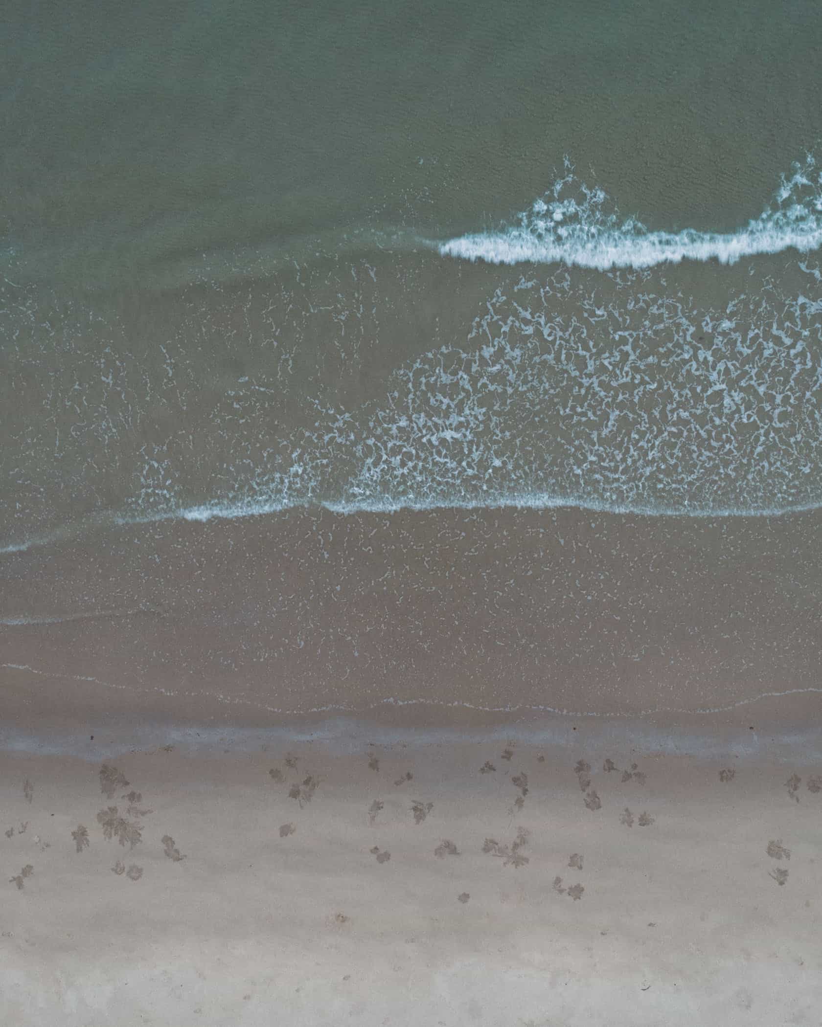 Daintree National Park