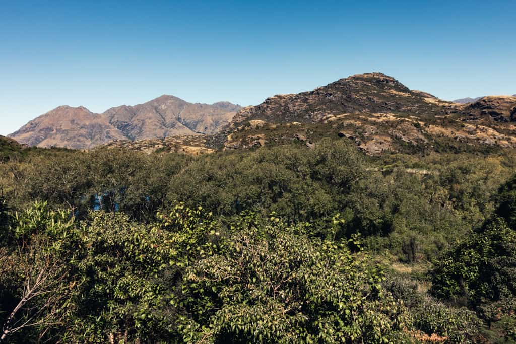 View from Diamond Lake and Rocky Mountain Walks