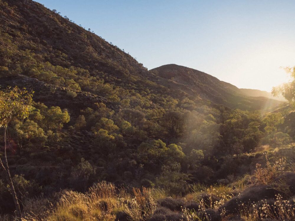 Ellery Creek Big Hole Walk West MacDonnells Range