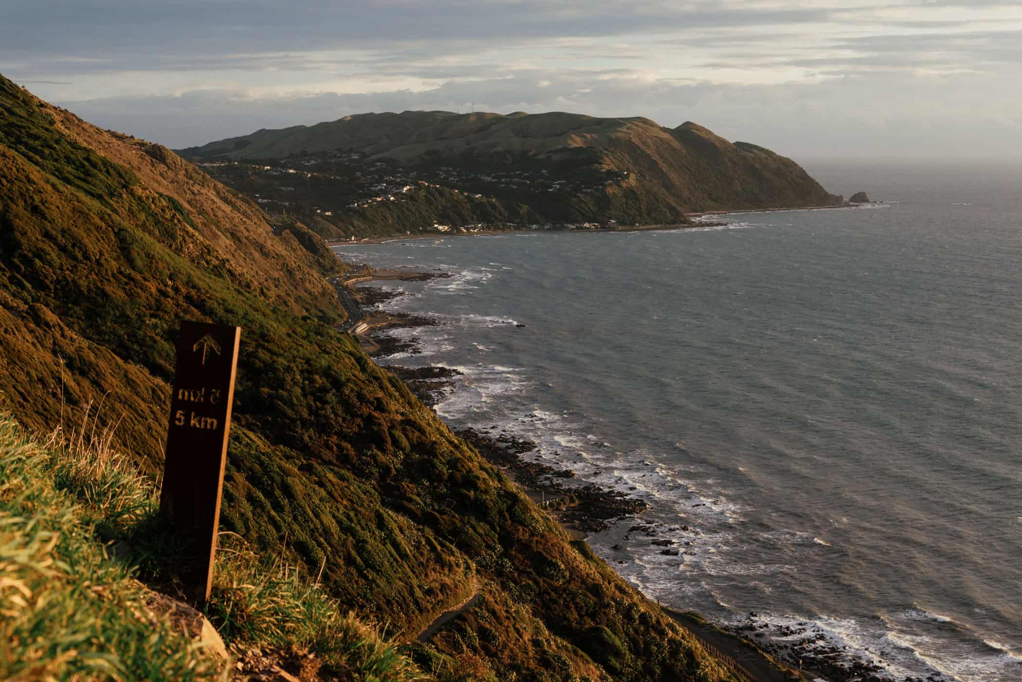View from Escarpment Track Wellington at sunset