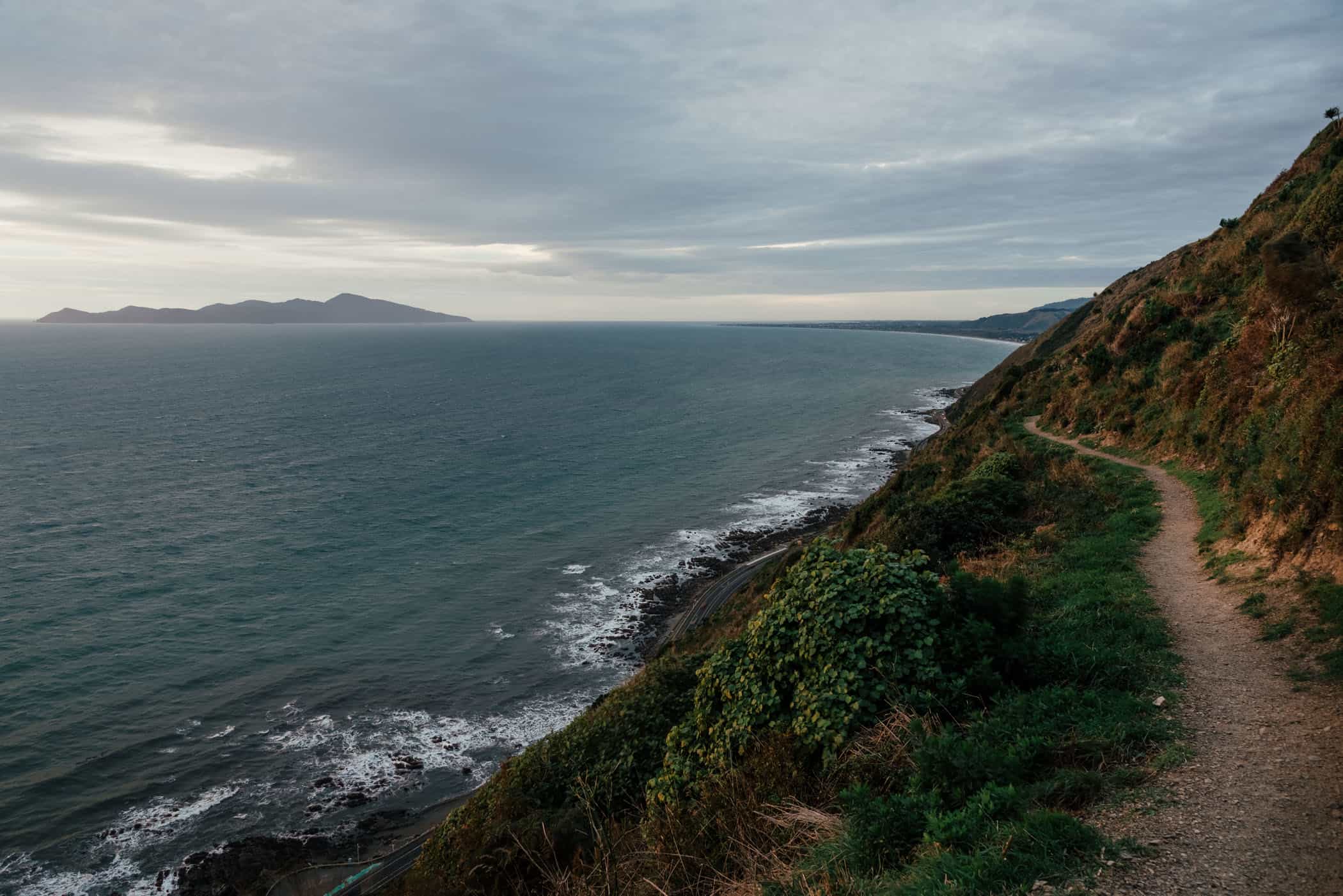 View from Escarpment Track Wellington at sunset