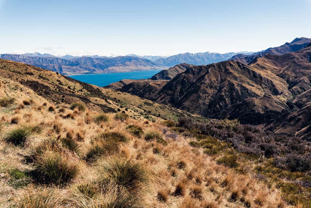 View of Lake Hawea seen from Grandview Mountain Track
