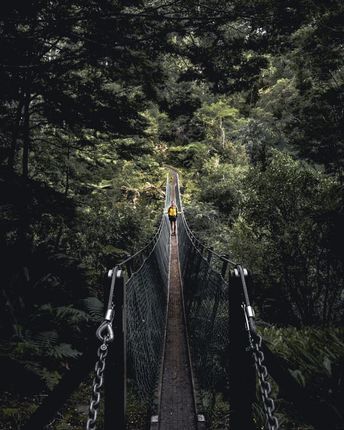 Person on Swingbridge on Humpridge Track