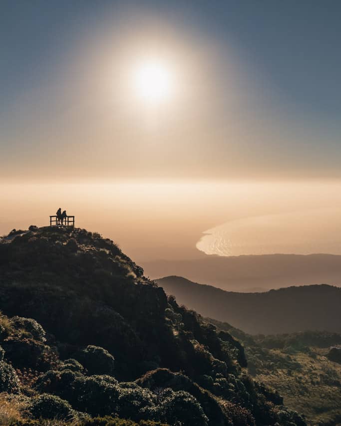 Boardwalk at Okaka Lodge on Humpridge Track
